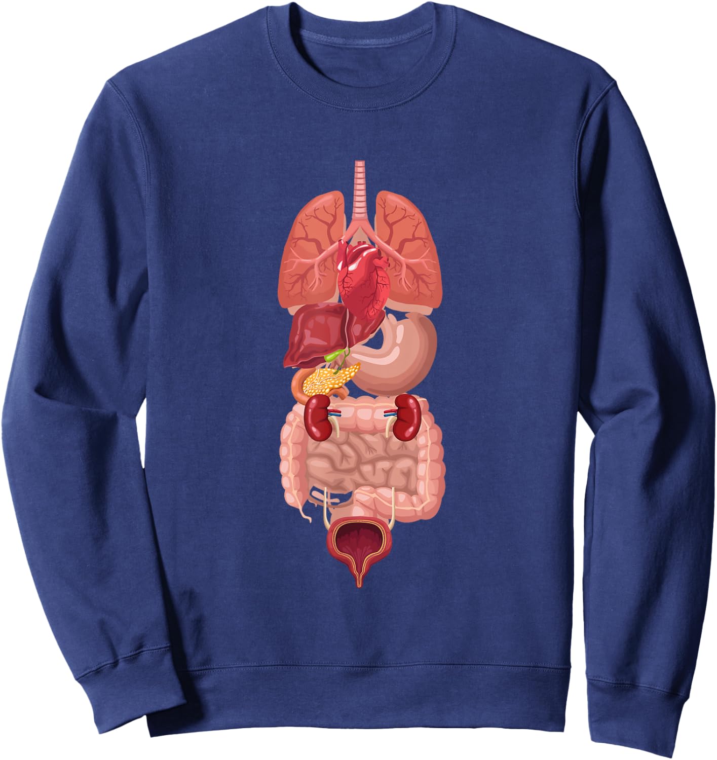 Human Body Anatomy: Illustrated Internal Organs Sweatshirt - Sweatshirt | Navy