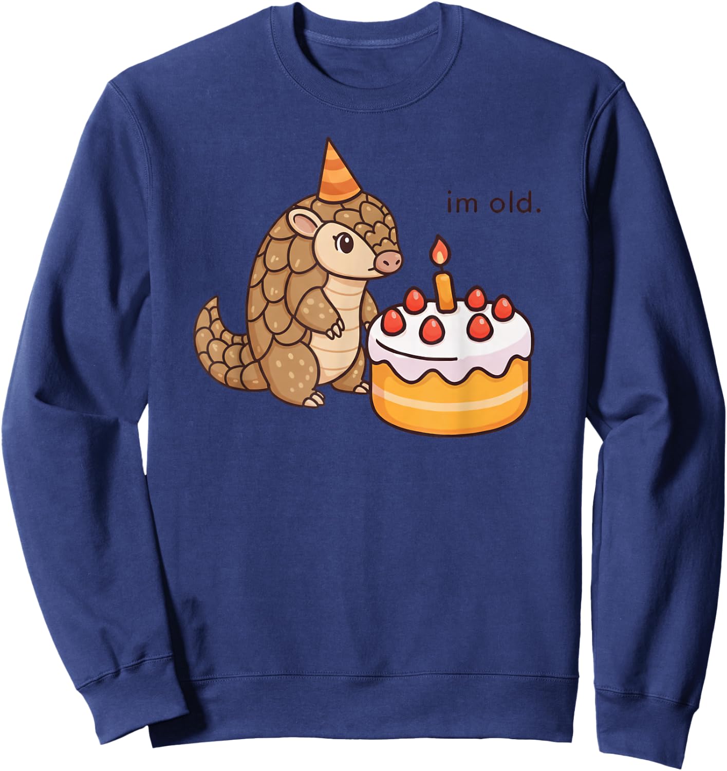 Funny Pangolin Birthday Im Old Bday Cake Animal Boys Girls Sweatshirt - Sweatshirt | Navy