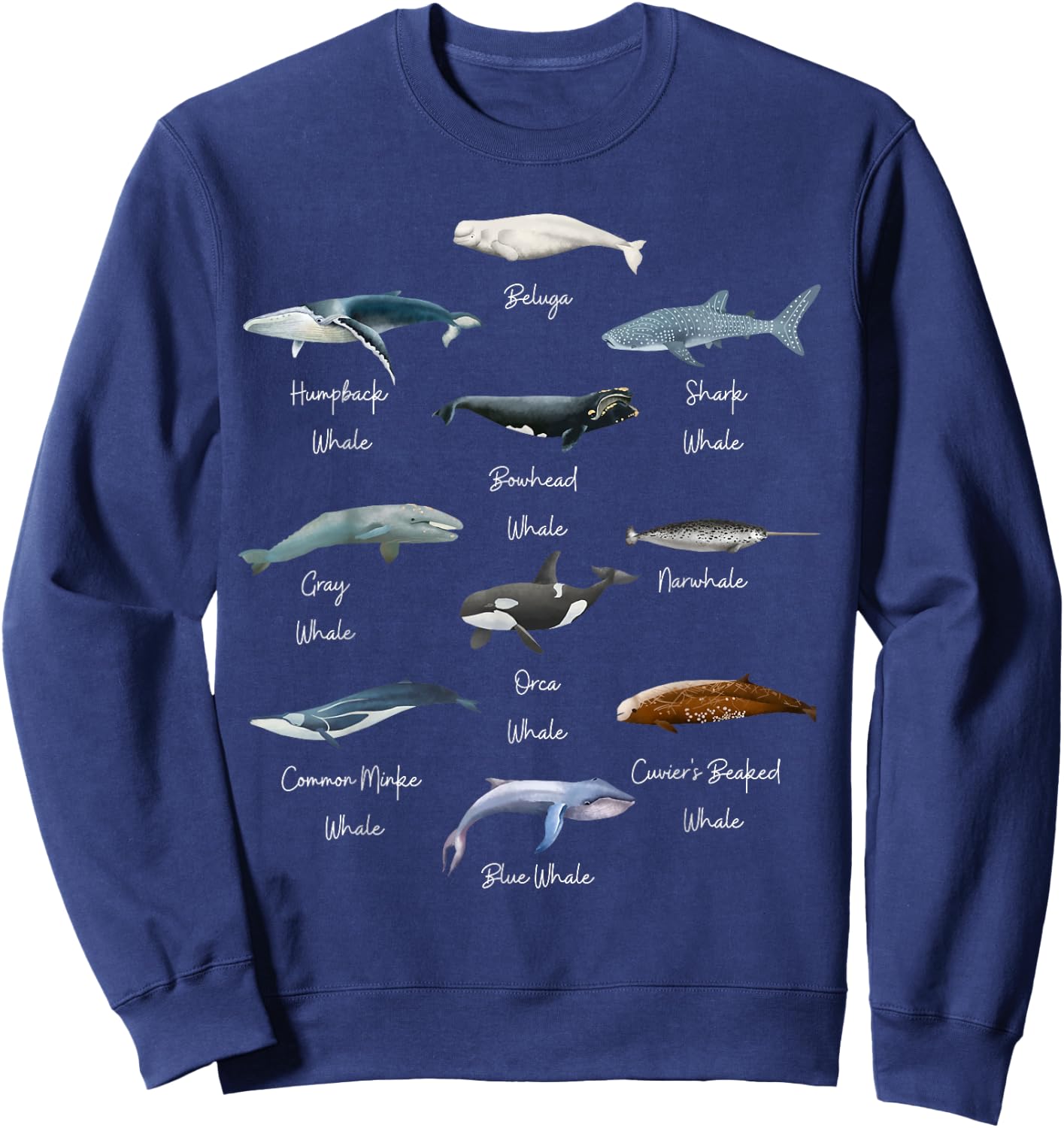 Types Of Whales Watercollor Cute Ocean Mammals Guide Sweatshirt - Sweatshirt | Navy