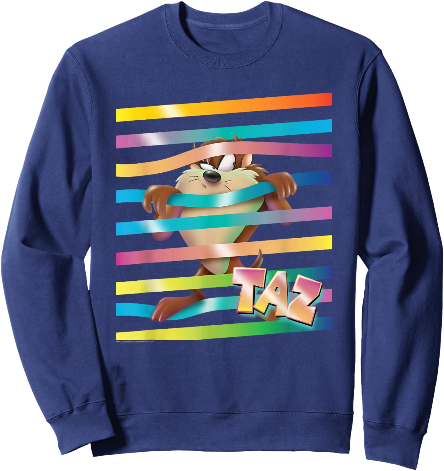 Looney Tunes Taz Stripes Sweatshirt - Sweatshirt | Navy