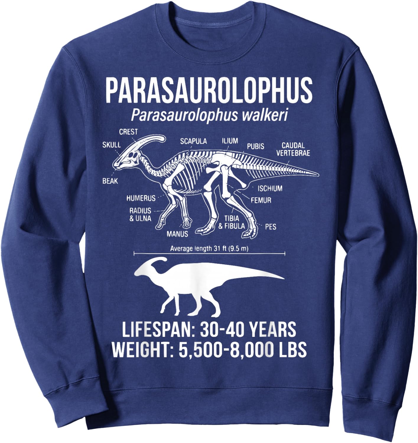 Parasaurolophus Diagram Sweatshirt - Sweatshirt | Navy