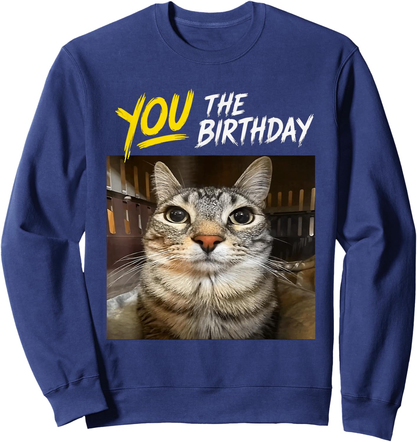 You The Birthday Funny Gen Z Slang Meme Cat Sweatshirt - Sweatshirt | Navy