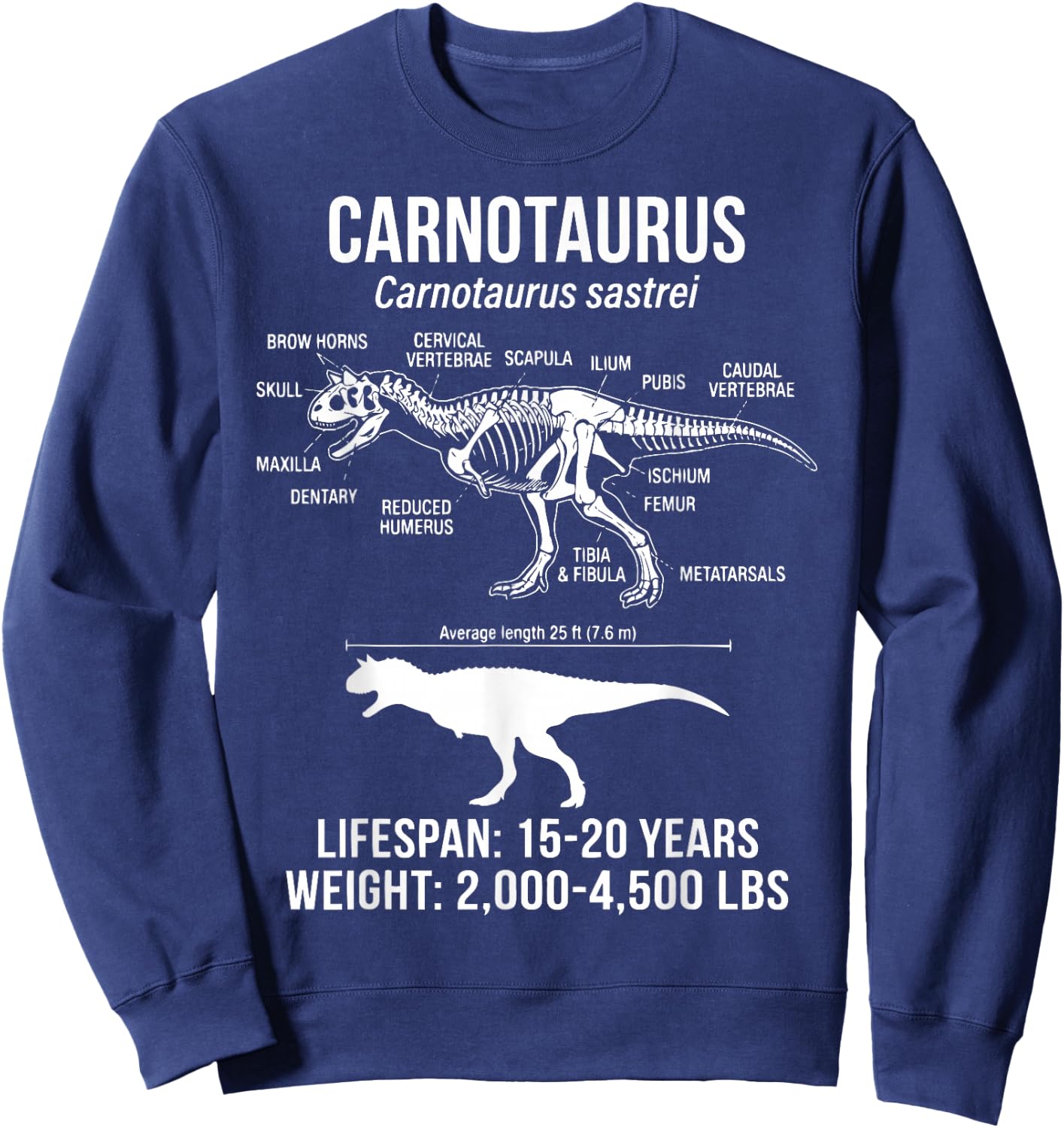 Carnotaurus Diagram Paleontology Sweatshirt - Sweatshirt | Navy