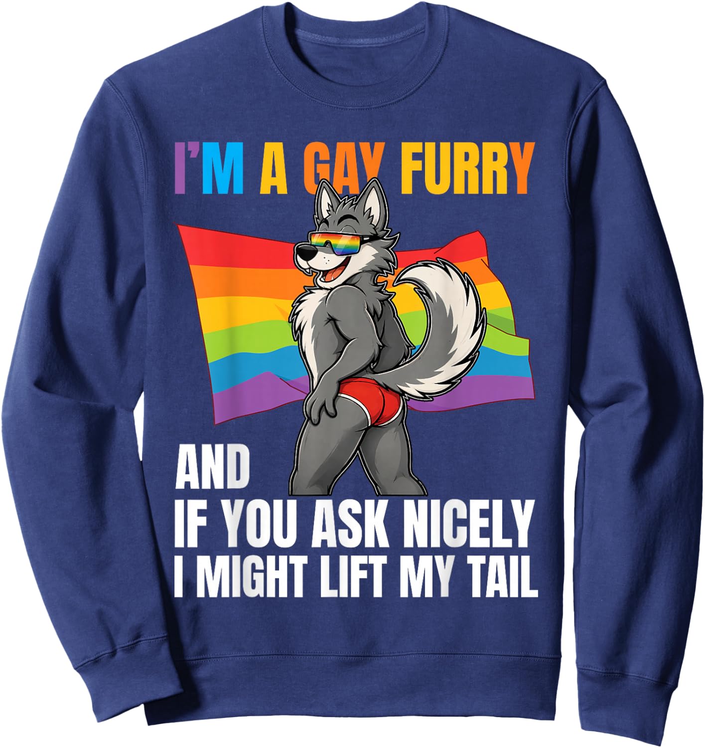Lustiger Gay Furry Tail Pride Rainbow Queer Fox CSD Party LGBTQ Sweatshirt - Sweatshirt | Navy