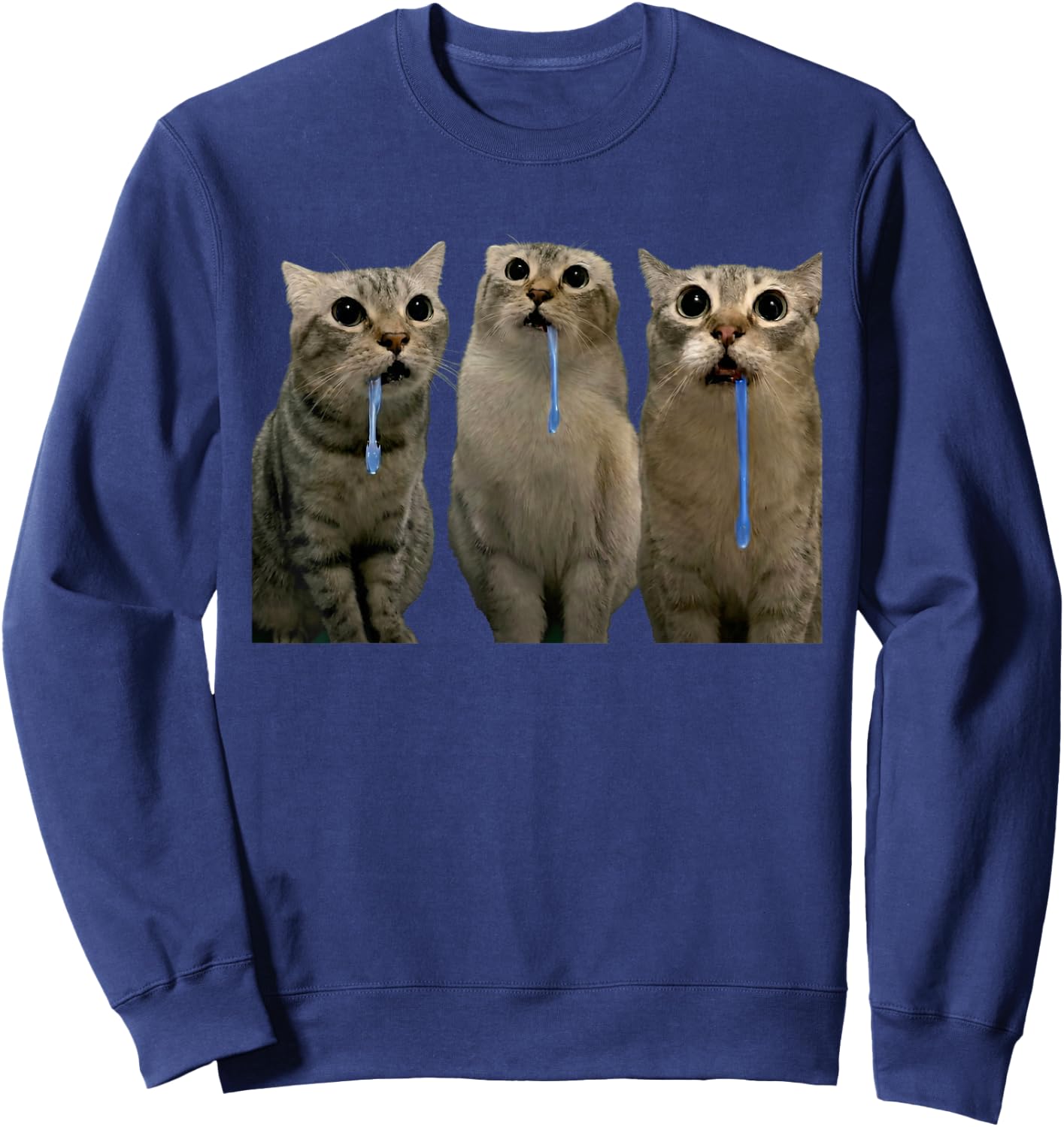 Cats Yelling at a Drooling Cat Double Funny Meme Sweatshirt - Sweatshirt | Navy
