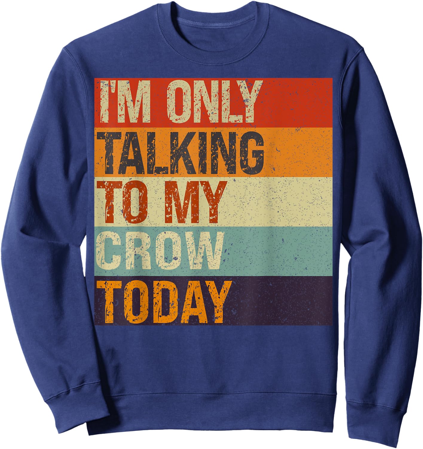 Funny Crow Bird I'm Only Talking To My Crow Bird Today Sweatshirt - Sweatshirt | Navy