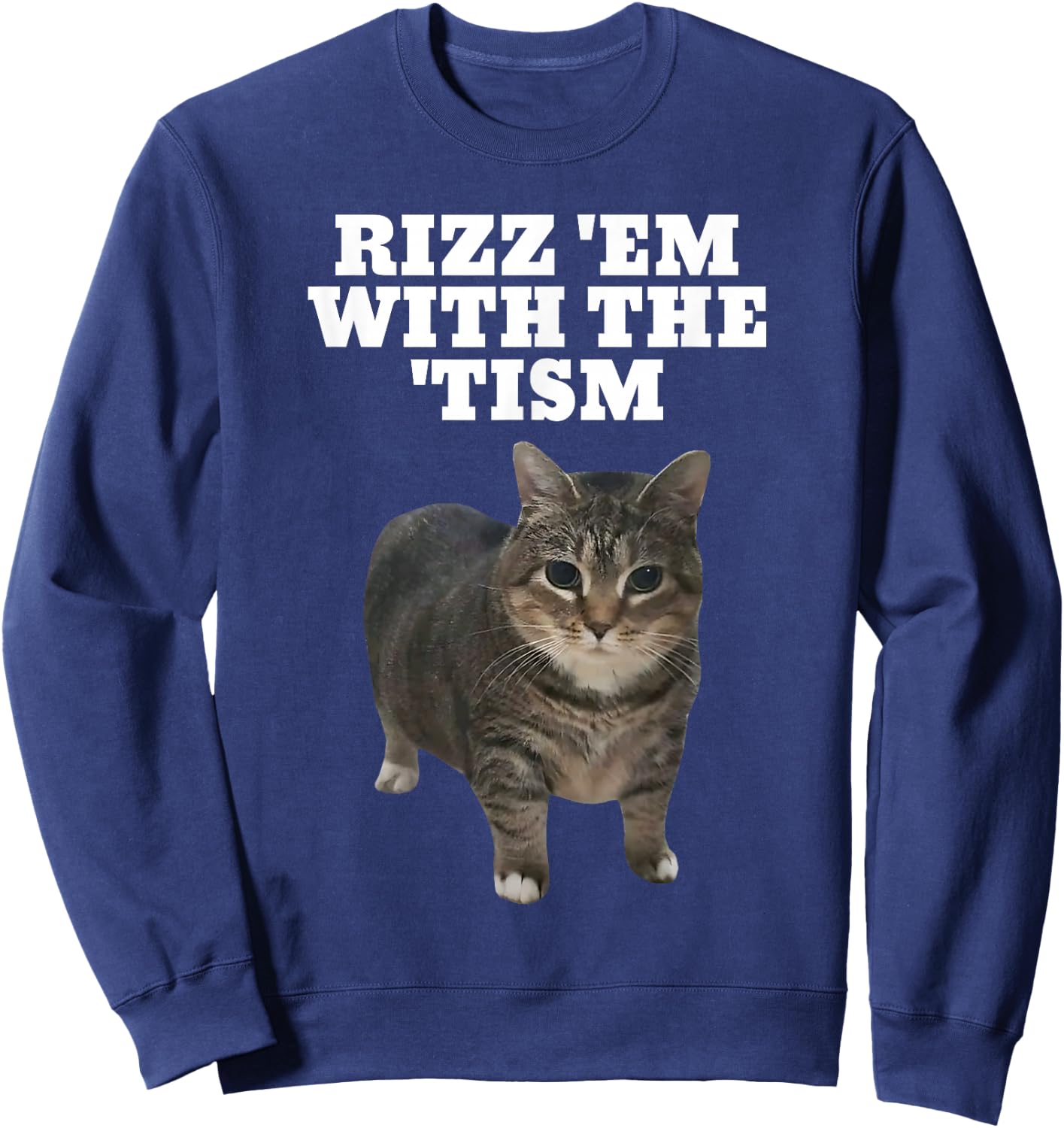 Rizz Em With The Tism Autistic Cat Rizz Sweatshirt - Sweatshirt | Navy