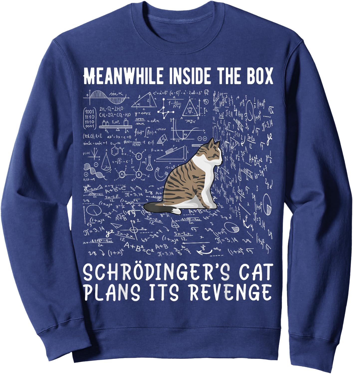 Meanwhile Inside The Box Cat De Schrödinger Vengeance Sweatshirt - Sweatshirt | Navy