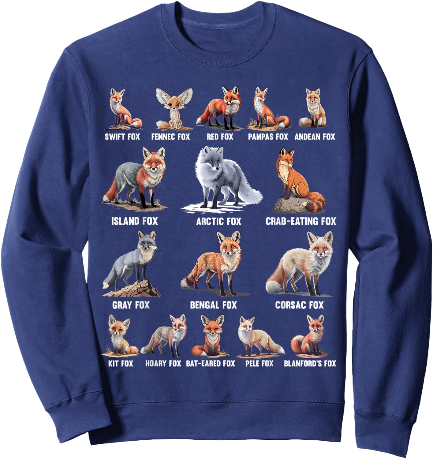 Foxes Of The World Funny Fox Animals Educational Sweatshirt - Sweatshirt | Navy