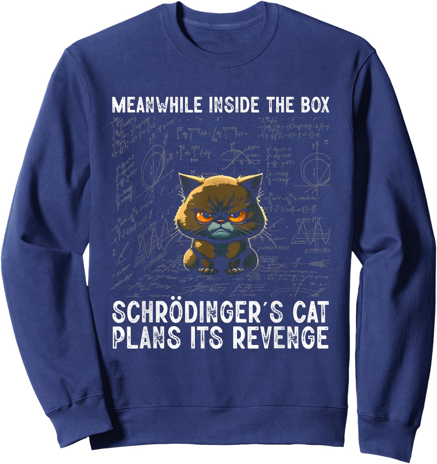 Inside The Box Schrödingers Cat Physics Student Gift , black Sweatshirt - Sweatshirt | Navy