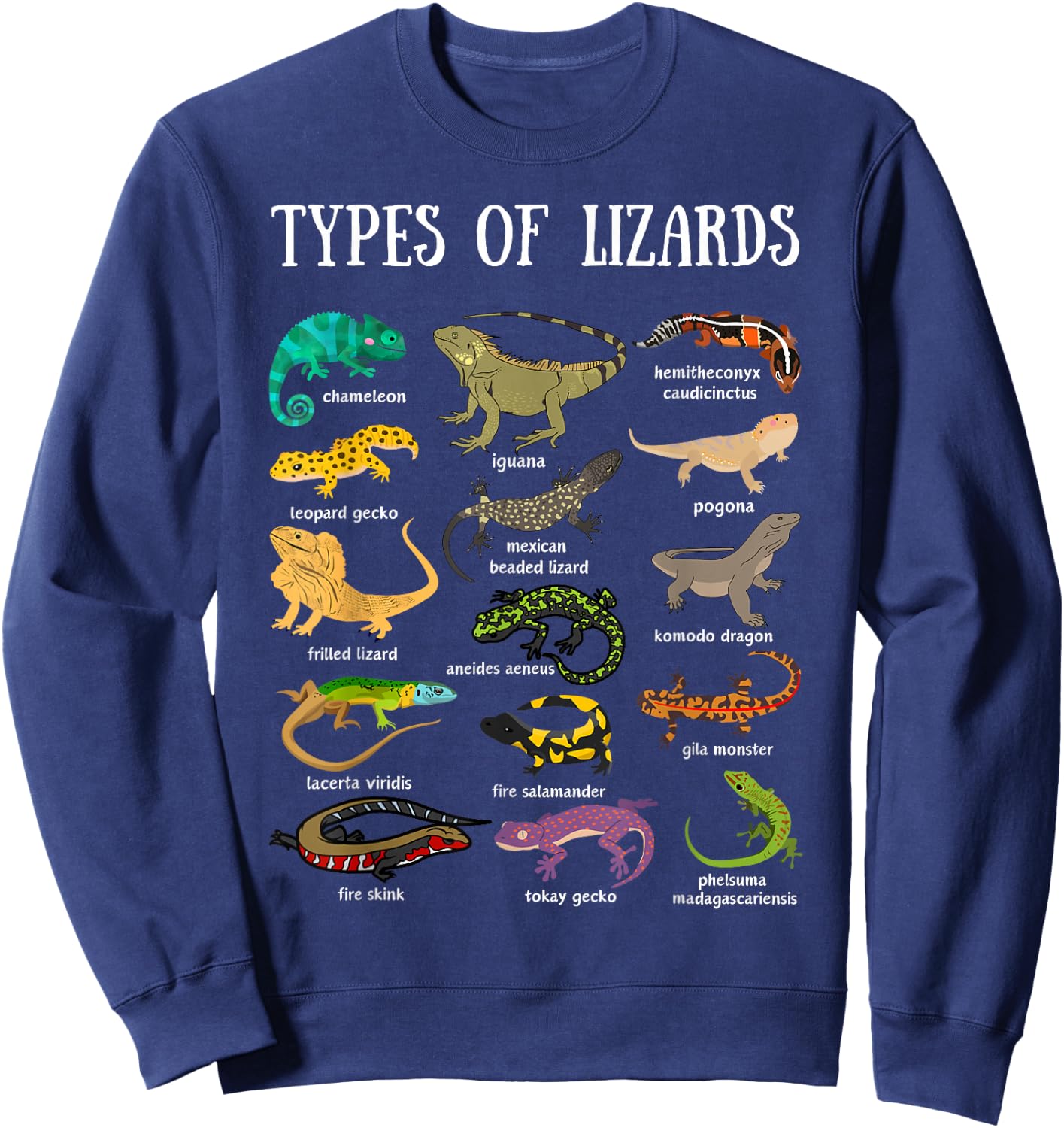 Types of Lizards Reptile Herpetology Men kids lizard collage Sweatshirt - Sweatshirt | Navy