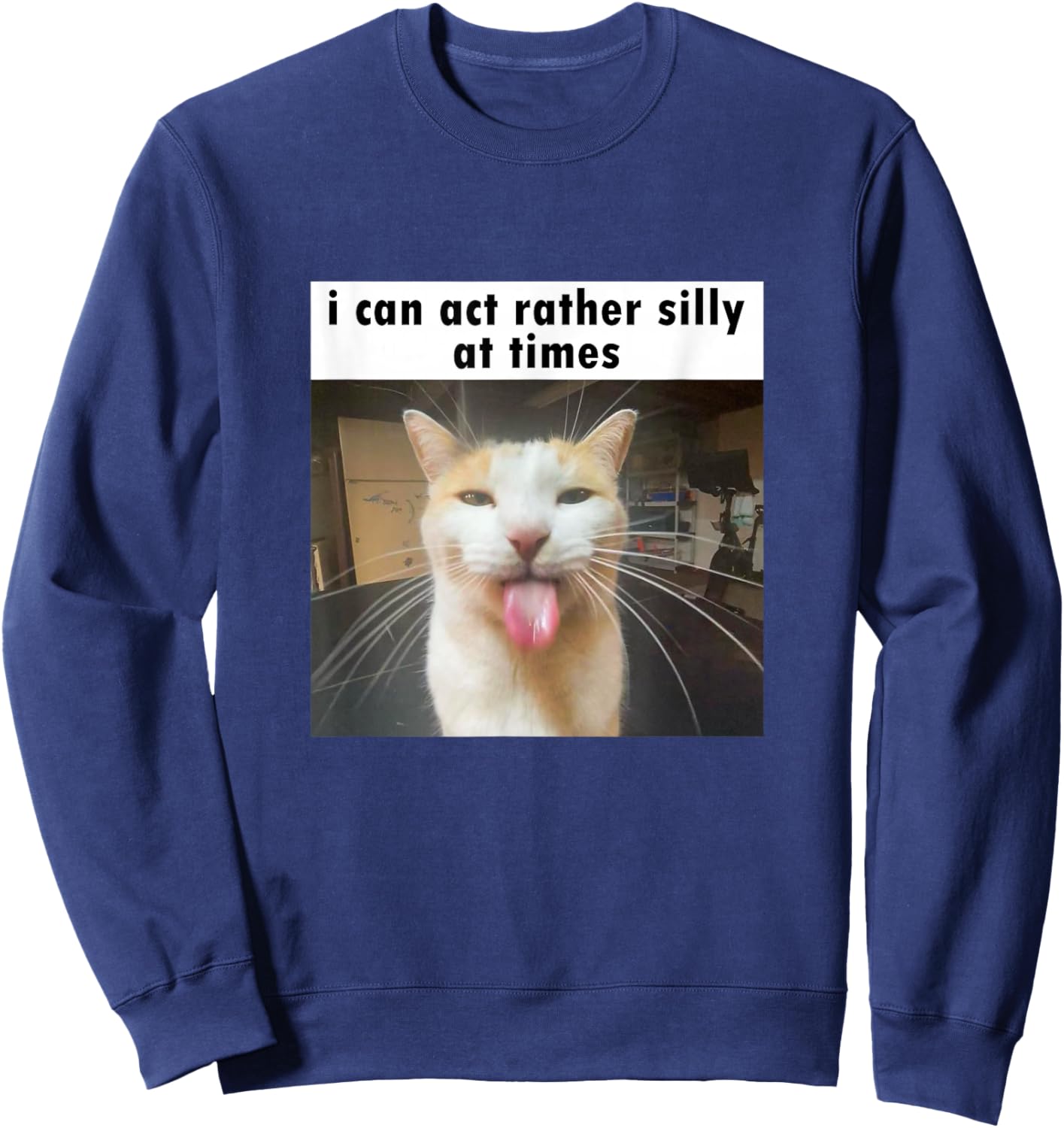 I Can Act Rather Silly at Times, Funny Silly Cat Meme Sweatshirt - Sweatshirt | Navy
