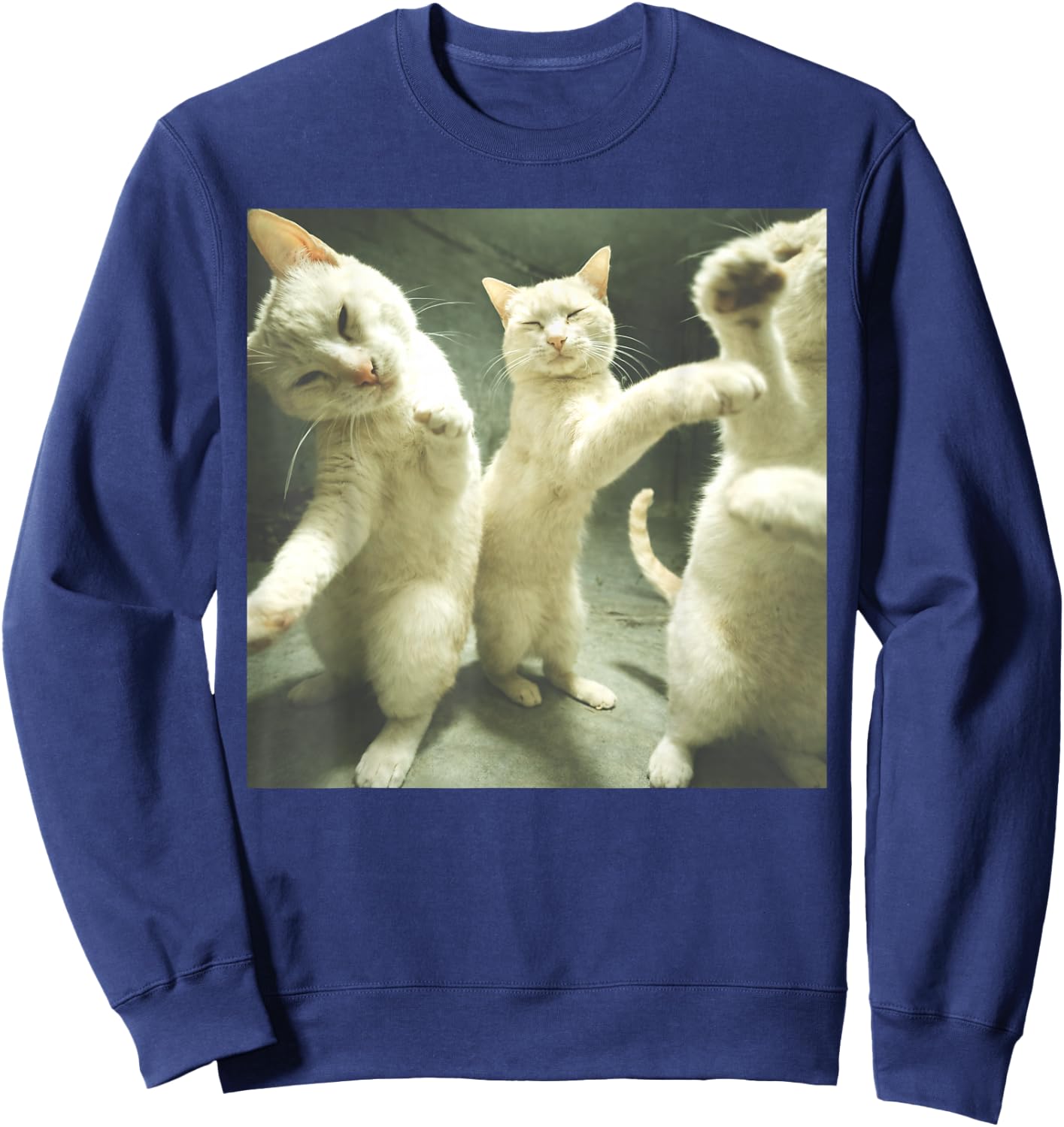 Unhinged Dancing Cats Silly Meme Men Women Sweatshirt - Sweatshirt | Navy