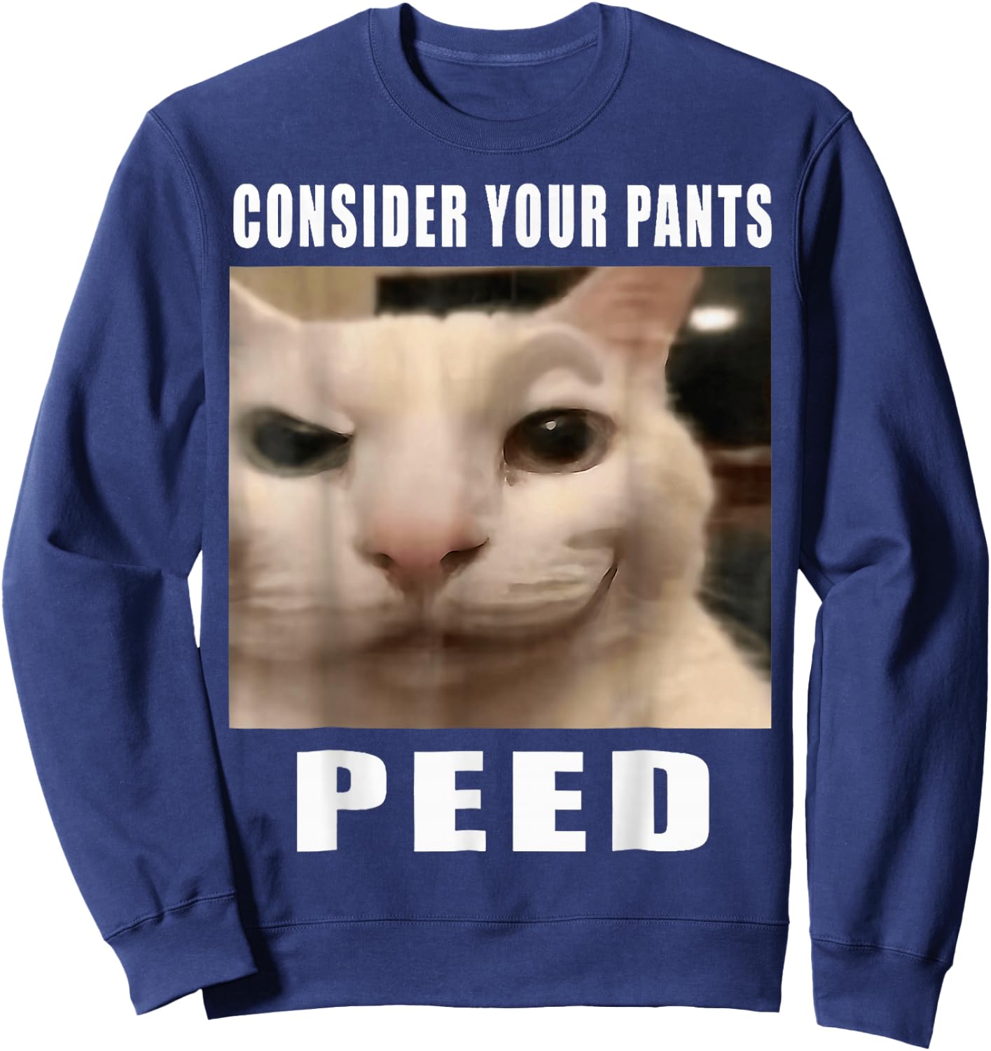 Consider Your Pants Peed Cat Funny Sweatshirt - Sweatshirt | Navy