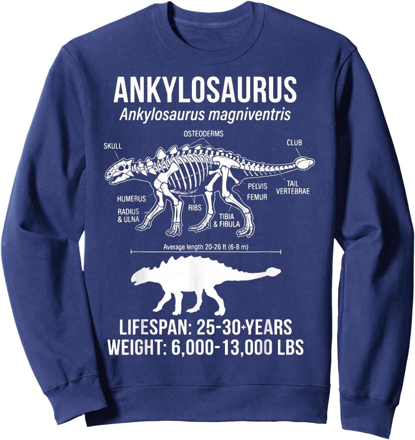 Ankylosaurus Diagram Reptile Sweatshirt - Sweatshirt | Navy