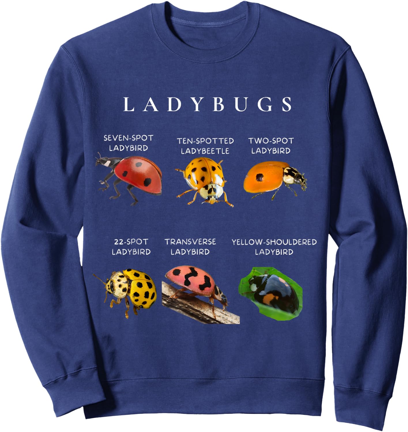 Types of ladybugs insects bug identification science Sweatshirt - Sweatshirt | Navy