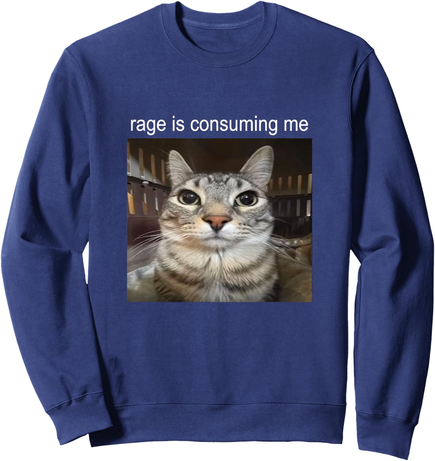 Wut verzehrt mich Dummes Starrendes Katzen-Meme , black Sweatshirt - Sweatshirt | Navy