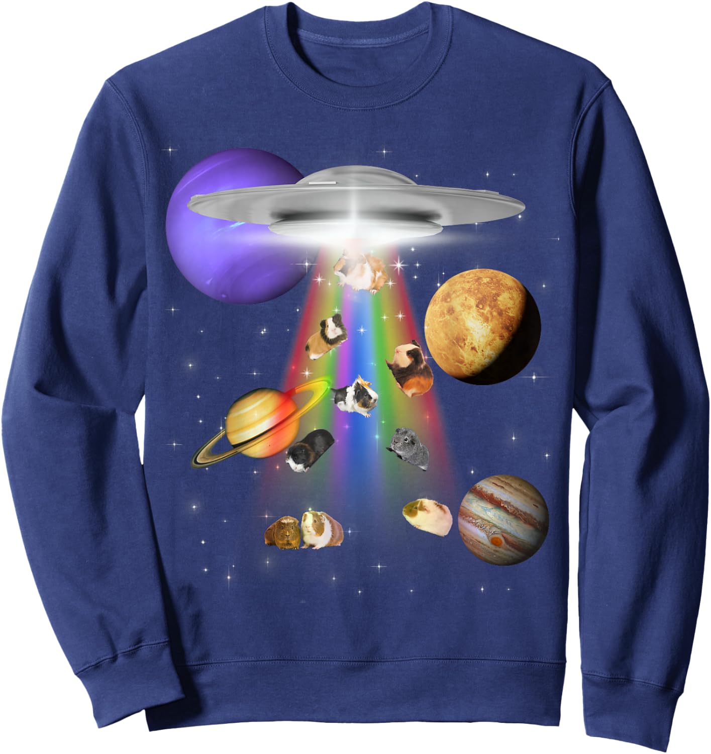 Guinea Pig Lover Alien Abduction UFO LGBTQ Subtle Pride Sweatshirt - Sweatshirt | Navy