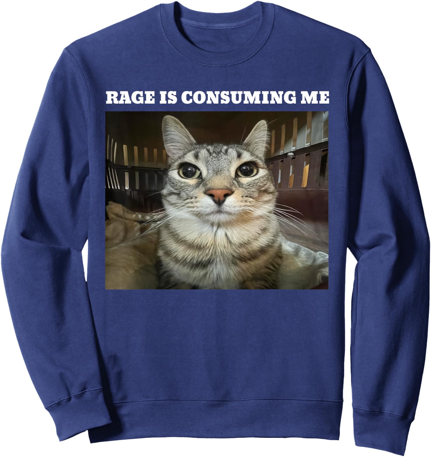 Rage Is Consuming Me Cat Meme Sweatshirt - Sweatshirt | Navy