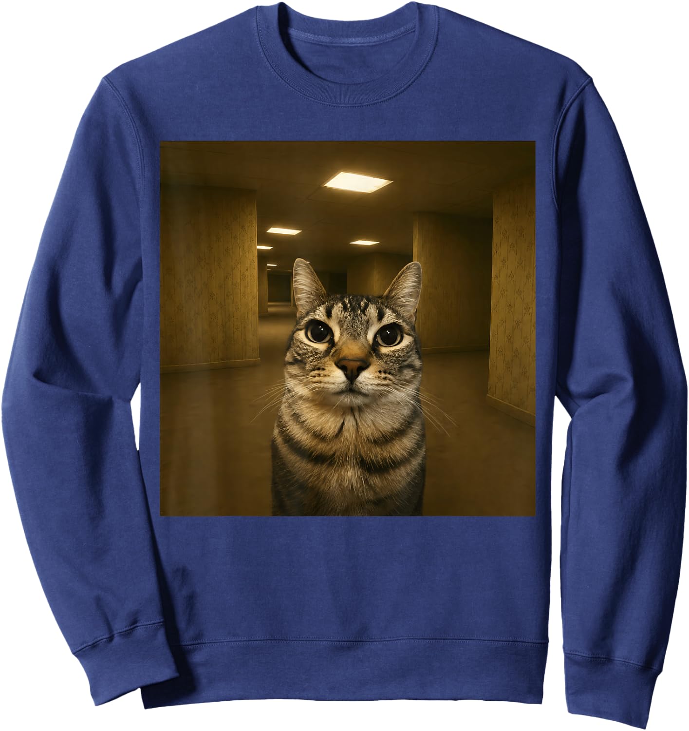 Cat in The Backrooms Liminal Space Funny Meme Sweatshirt - Sweatshirt | Navy
