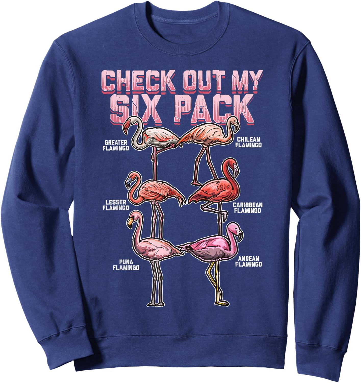 Flamingo Shirt Men Women Boys Girls Check Out My Six Pack Sweatshirt - Sweatshirt | Navy