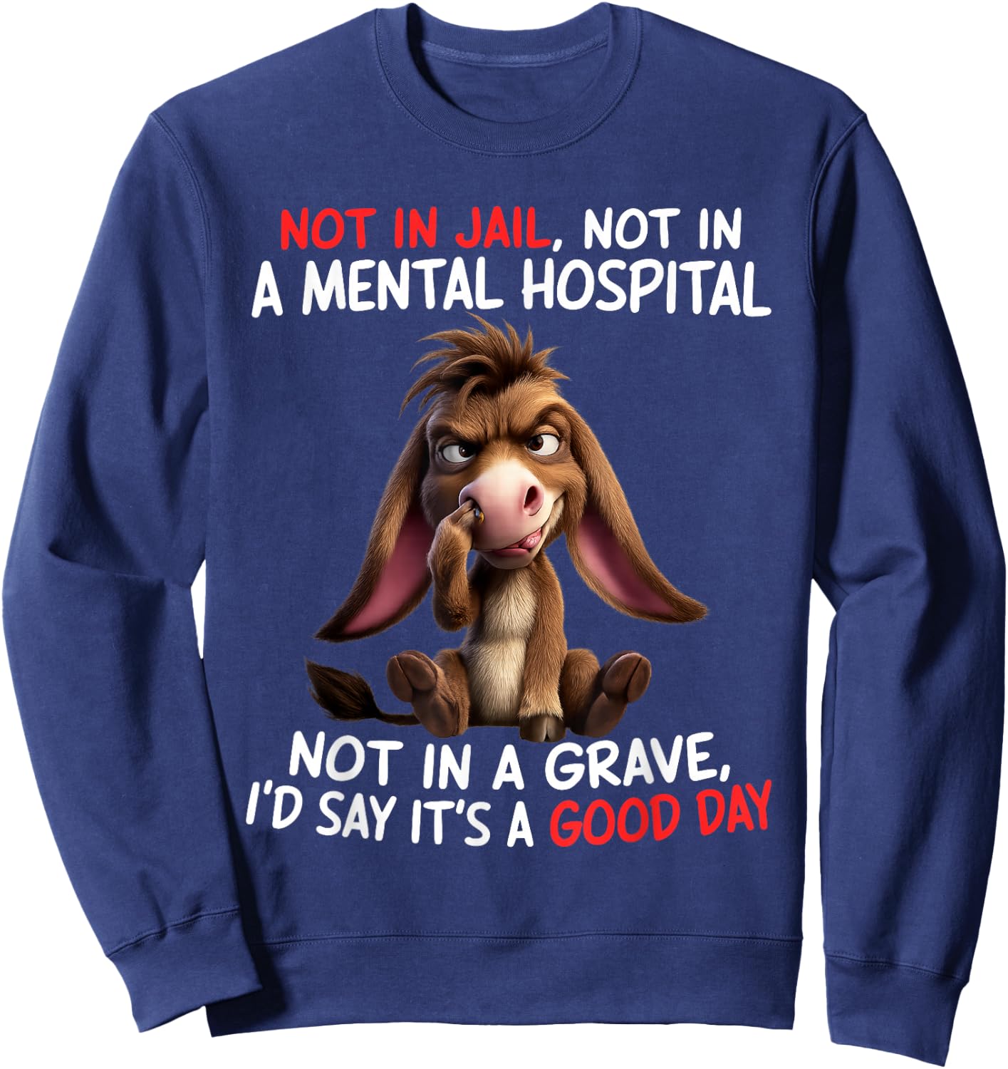 Not in Jail Not in A Mental Hospital Not in A Grave I'd Say Sweatshirt - Sweatshirt | Navy