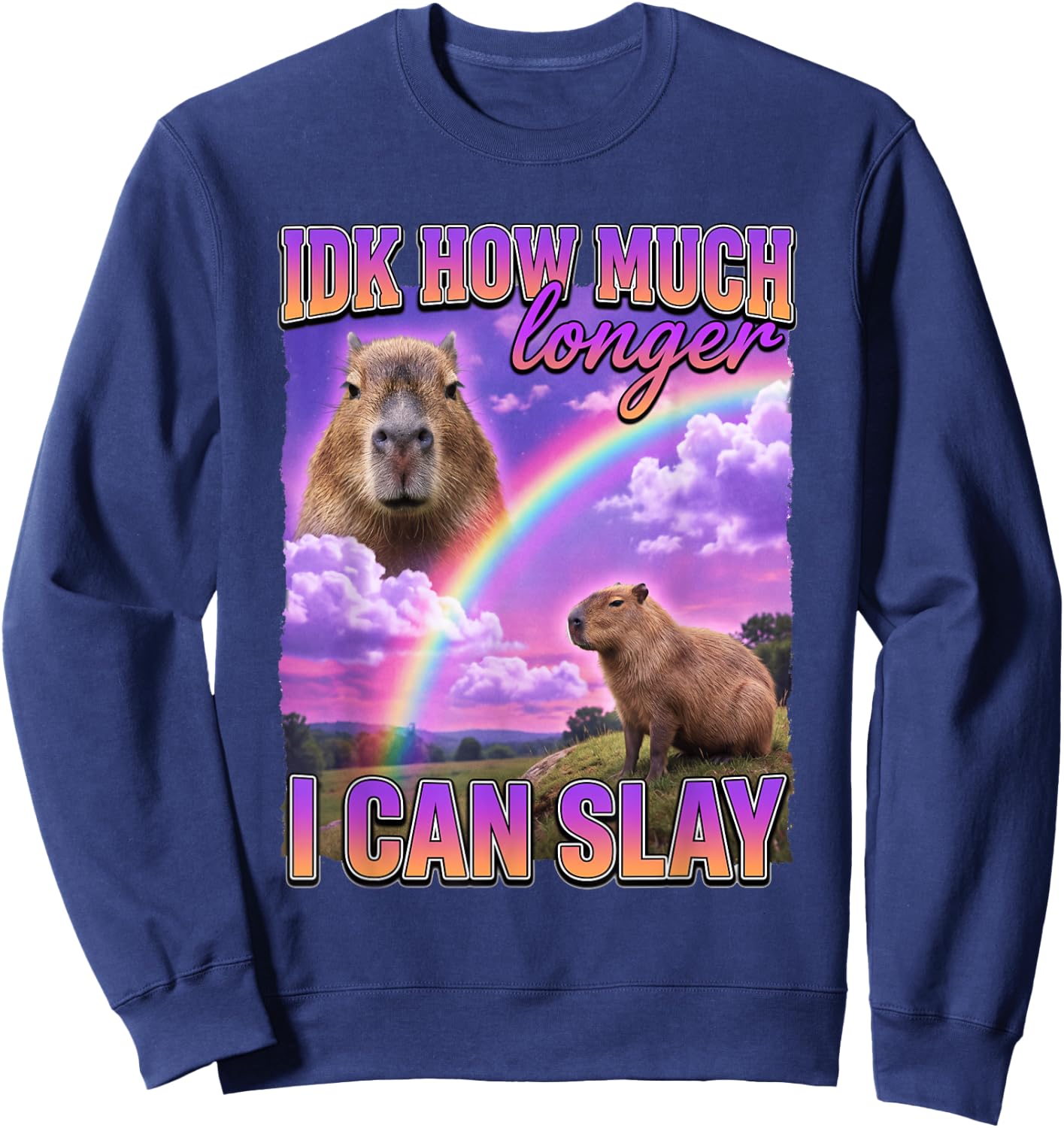 Funny Capybara Meme IDK How Much Longer I Can Slay Sweatshirt - Sweatshirt | Navy