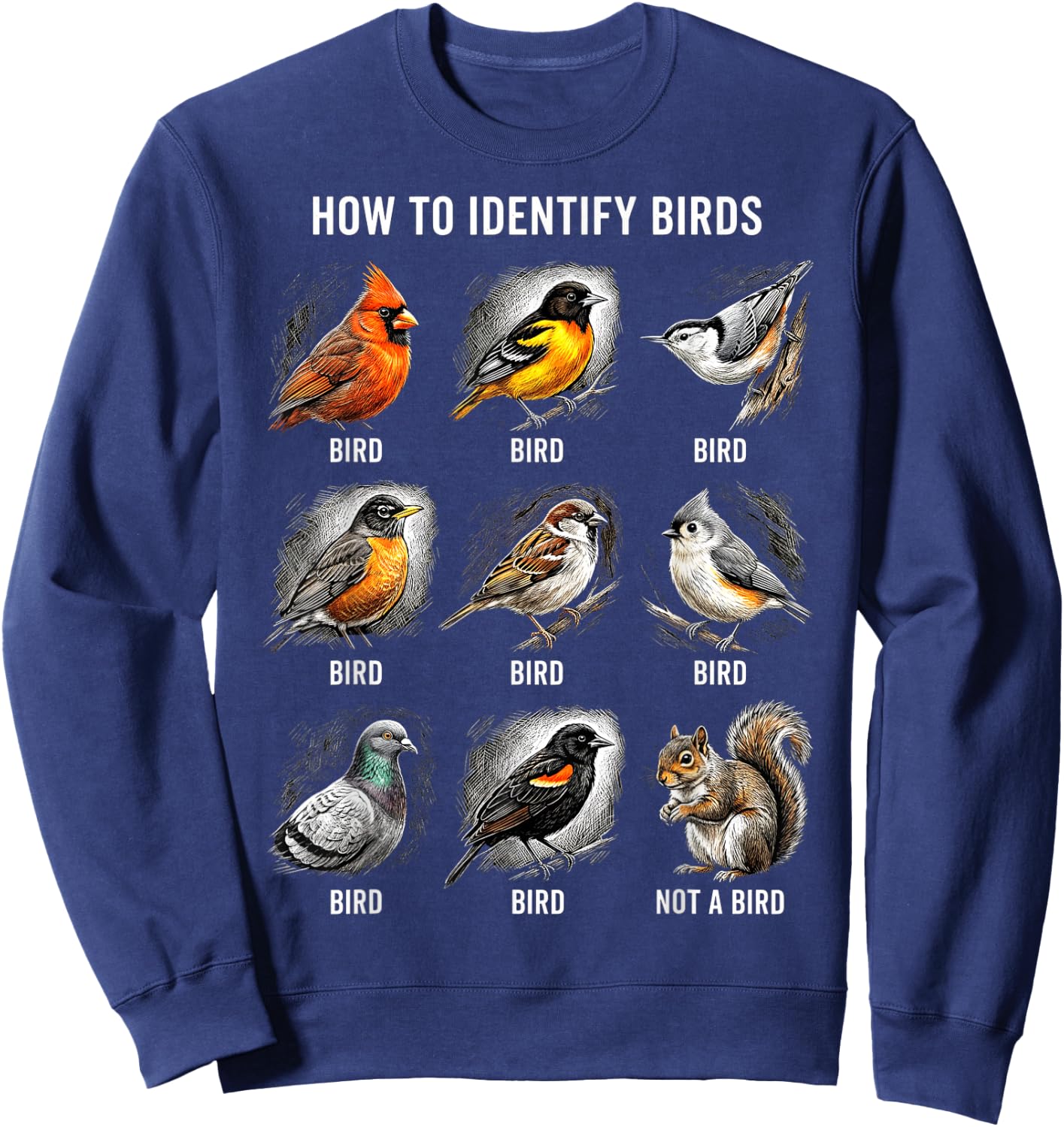 Vögel Bestimmen Lustiges Eichhörnchen Vogelbeobachtung Sweatshirt - Sweatshirt | Navy