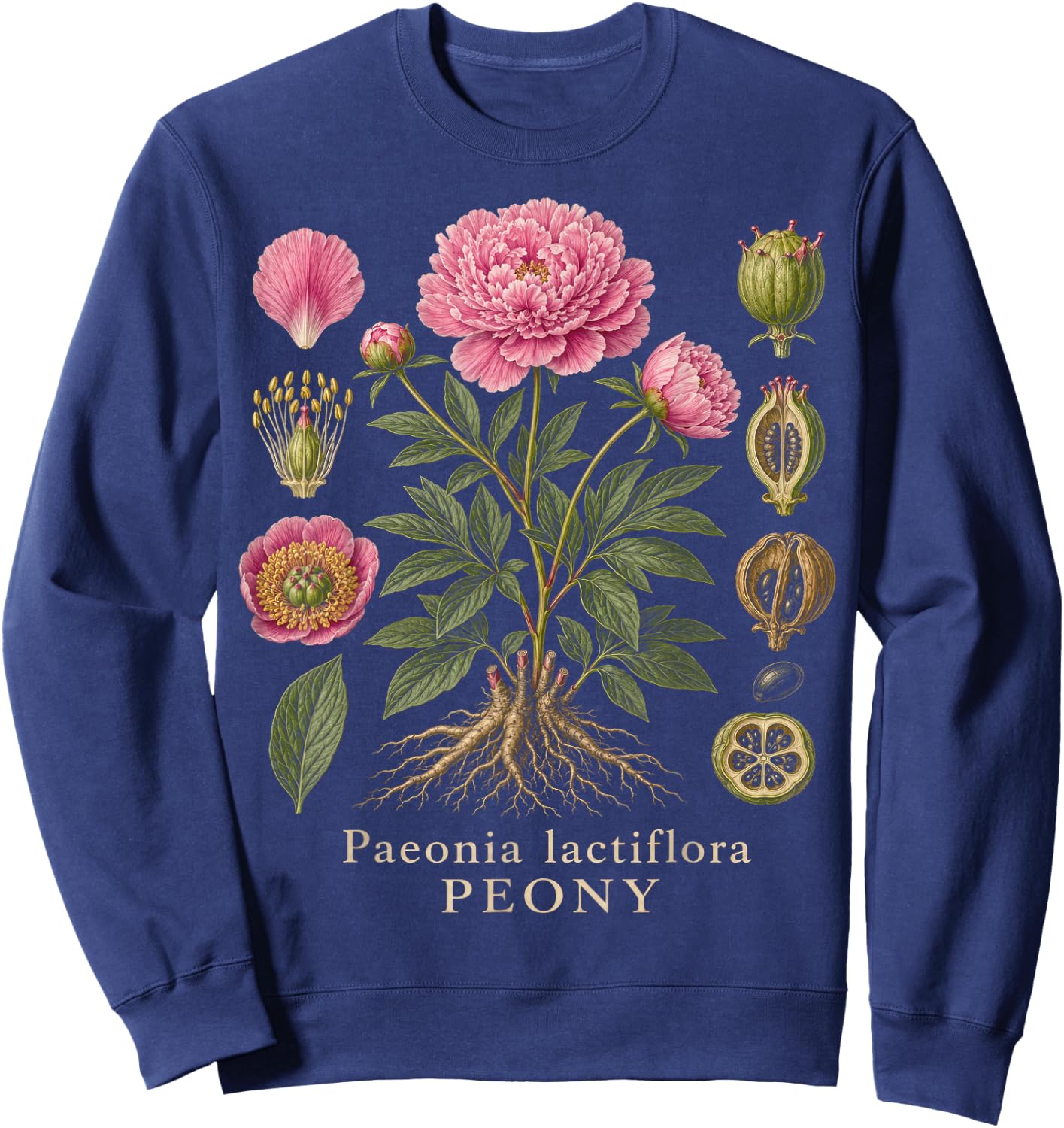 Peony Botanical Anatomy Flower Diagram Vintage Style Sweatshirt - Sweatshirt | Navy