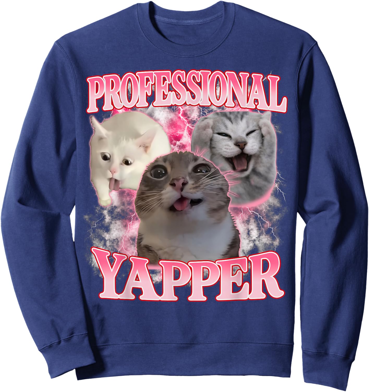 Professional Yapper Cat Funny Oddly Specific Dank Cat Meme Sweatshirt - Sweatshirt | Navy