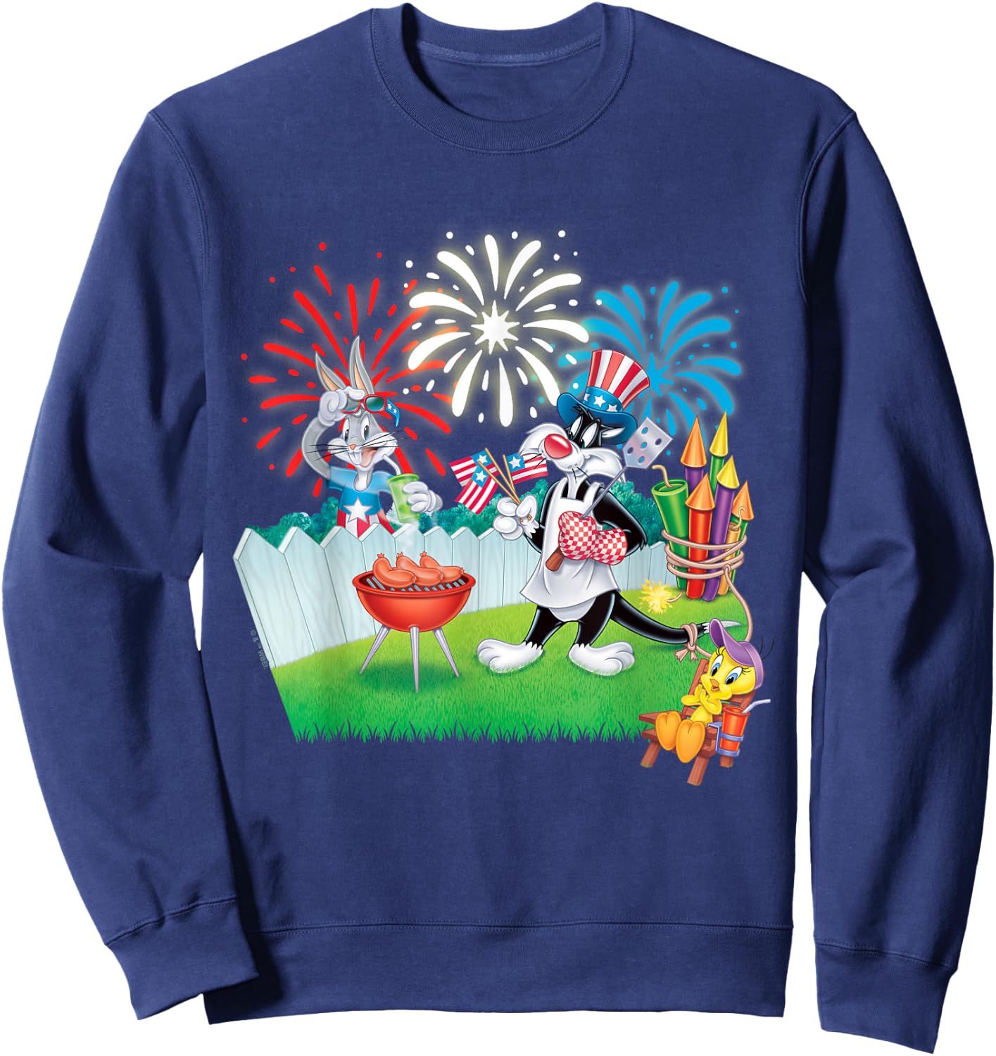 Looney Tunes 4th of July Celebration Sweatshirt - Sweatshirt | Navy