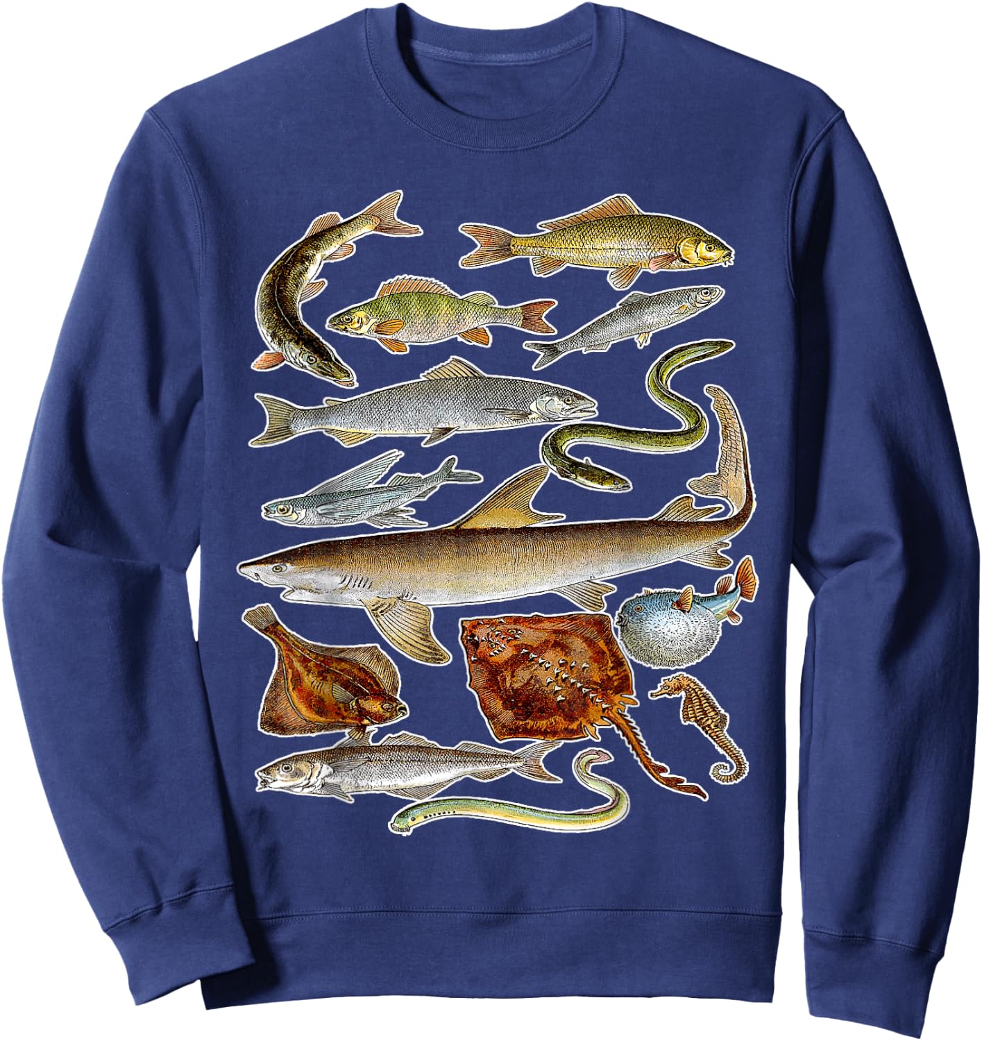 Sea Animals - Fish Sharks and Eels Illustration Sweatshirt - Sweatshirt | Navy