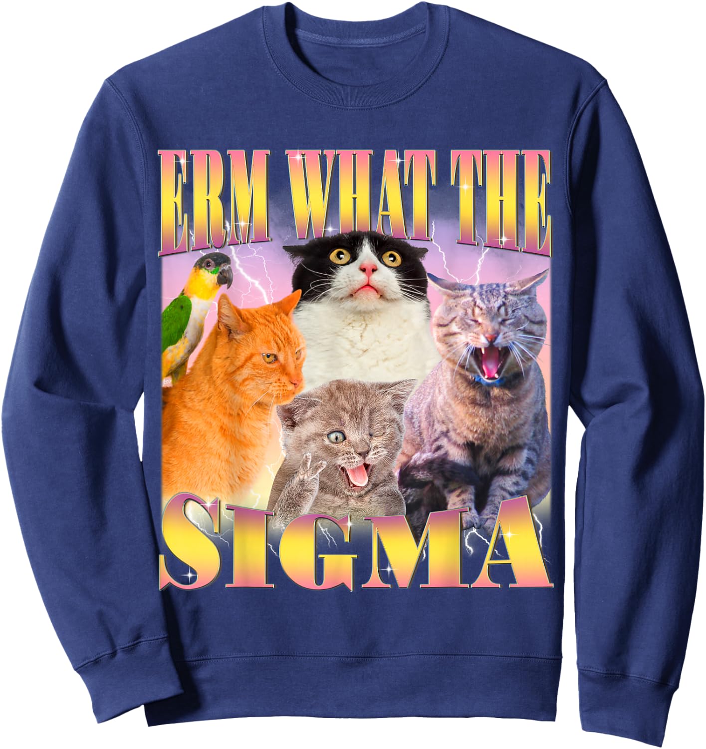 Cat Erm, What The Sigma? Funny Meme Ironic Humour Specific , Black, S Sweatshirt - Sweatshirt | Navy