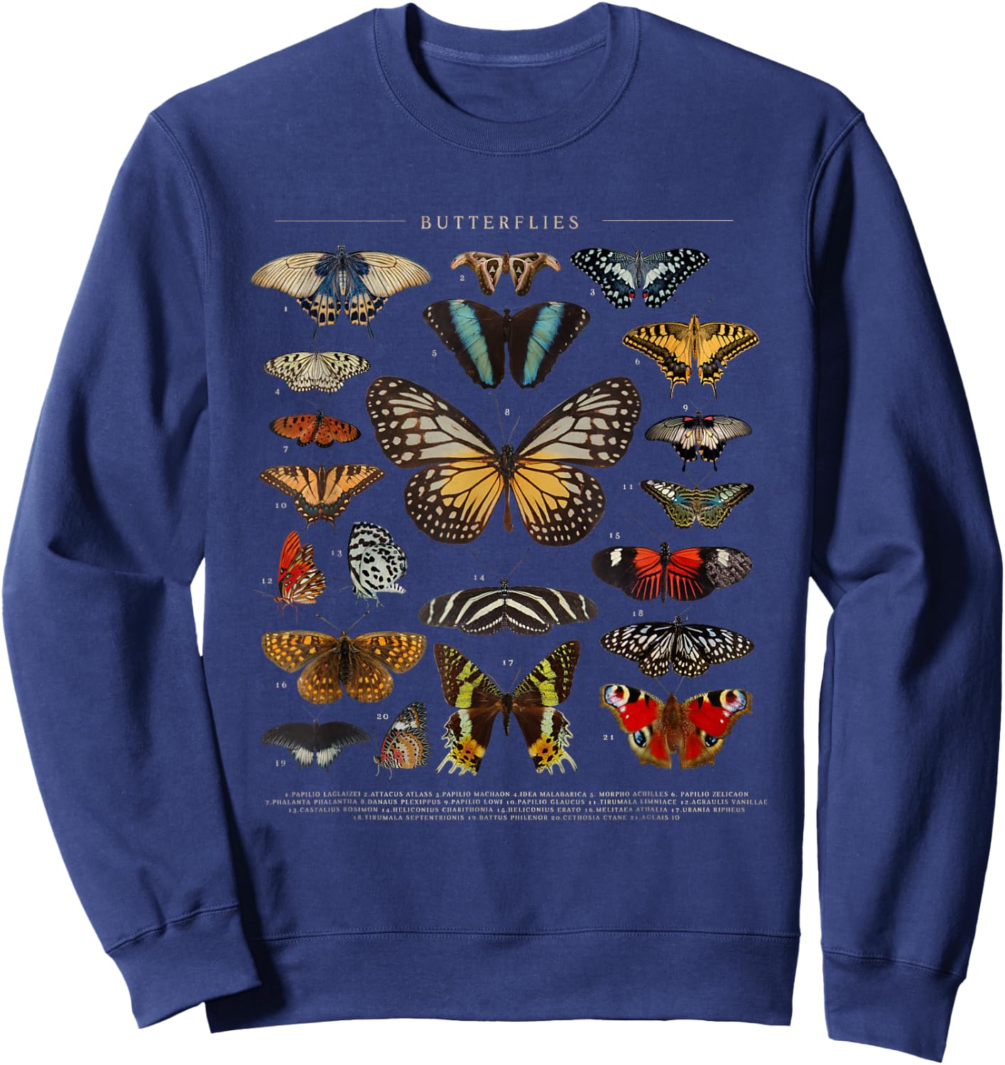Butterfly Monarch Butterflies Colorful Sweatshirt - Sweatshirt | Navy