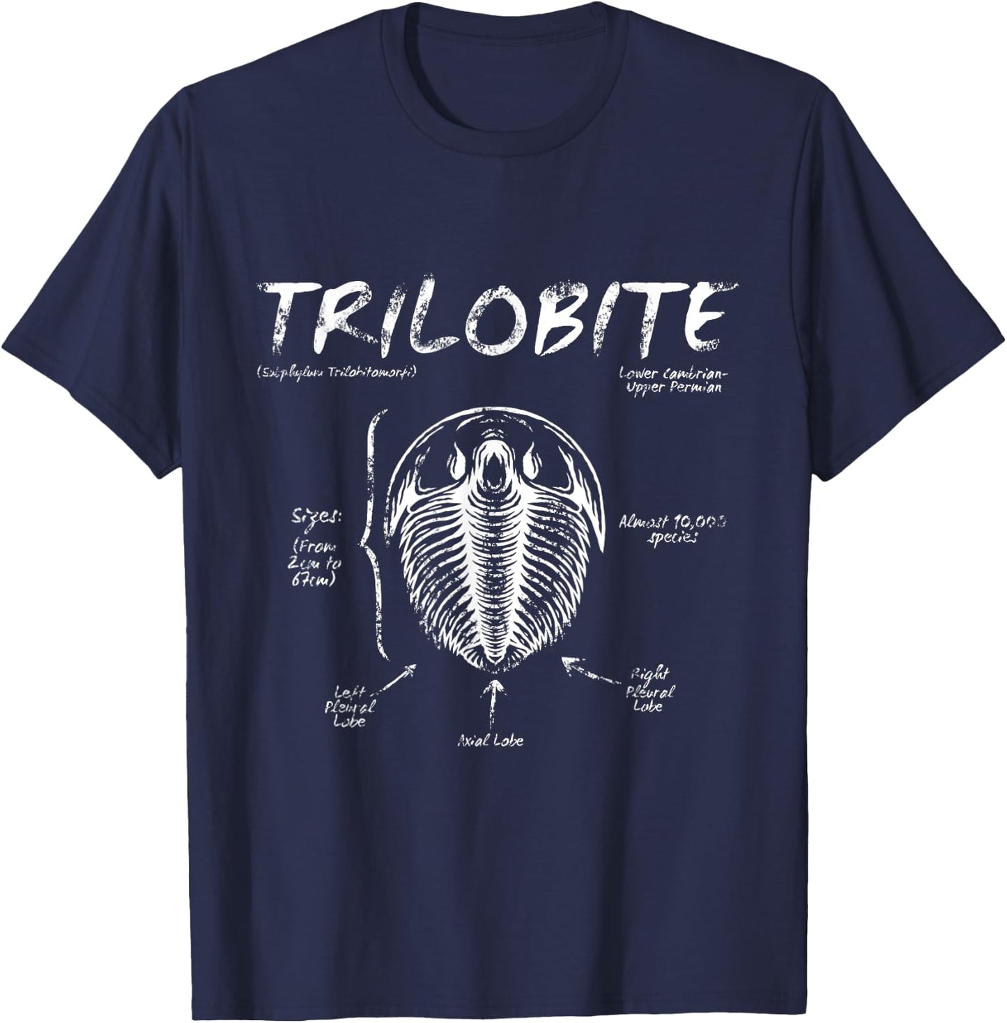 Trilobite Geology Teacher Fossil Men Women Kids T-Shirt - T-Shirt | Navy