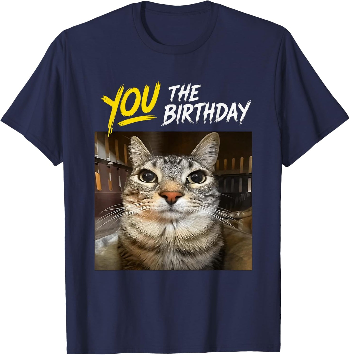 You The Birthday Funny Gen Z Slang Meme Cat T-Shirt - T-Shirt | Navy