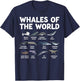 Whales Of The World Kawaii Types Of Whales Sea Animal Whale T-Shirt - T-Shirt | Navy
