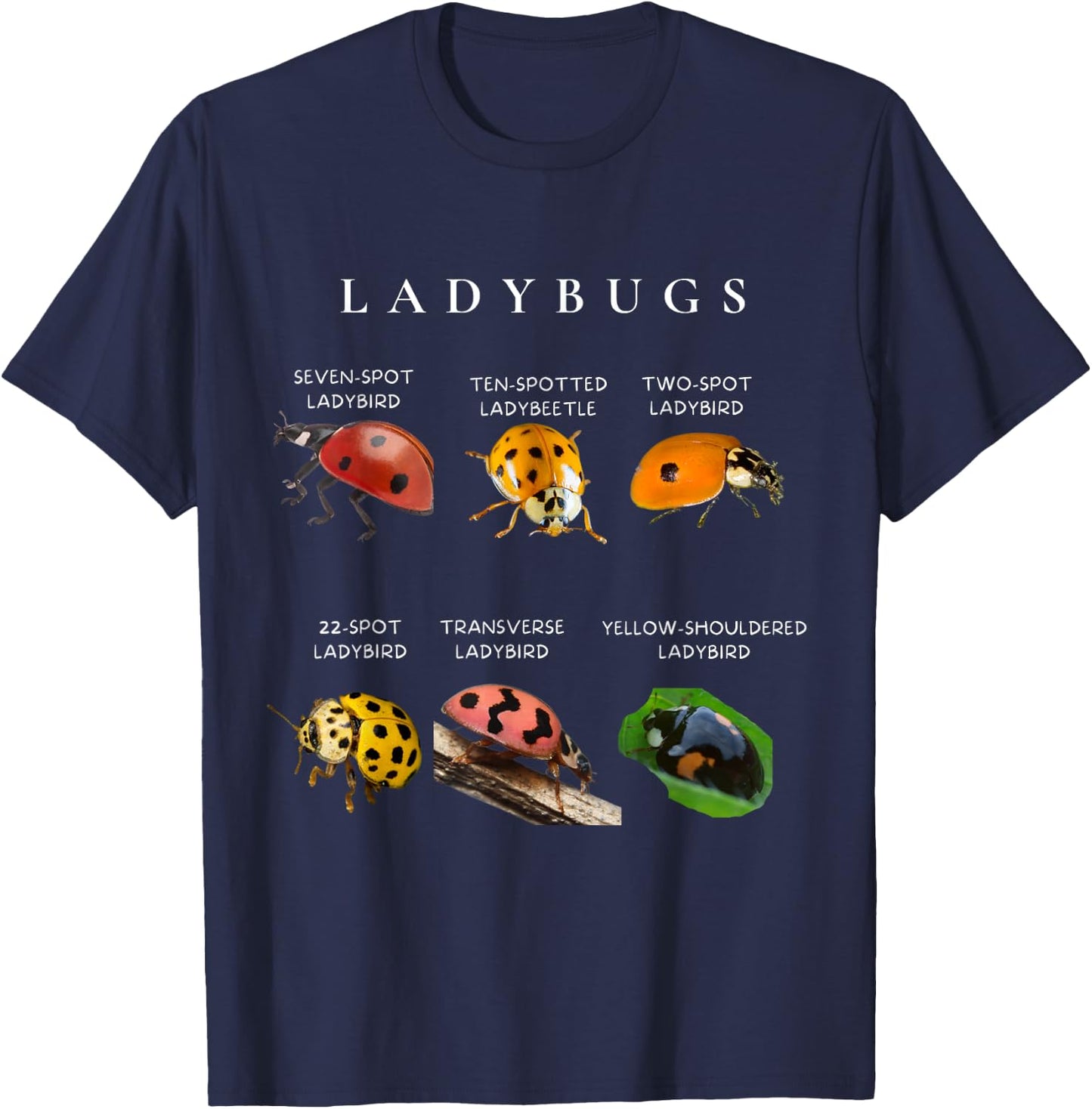 Types of ladybugs insects bug identification science T-Shirt - T-Shirt | Navy