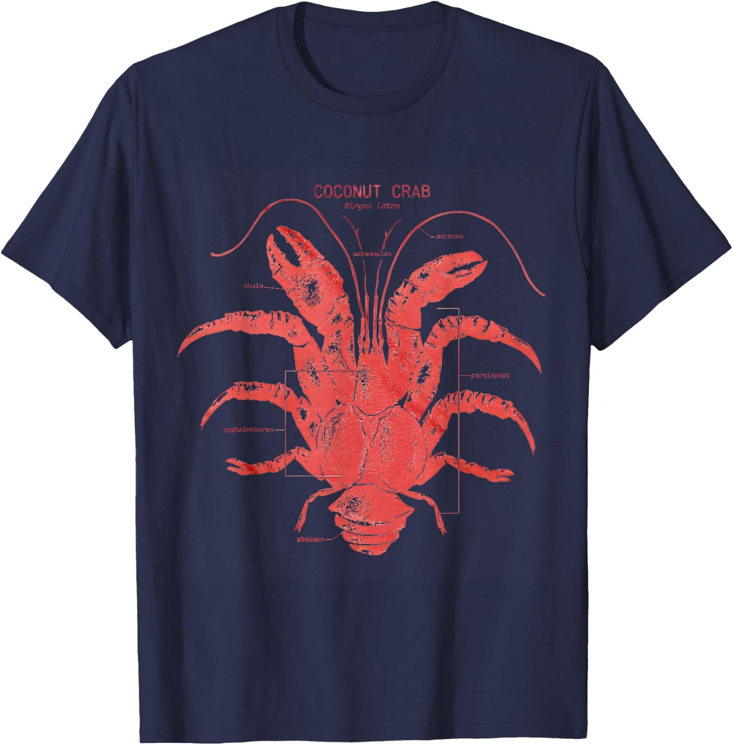 Coconut Crab Anatomy T-Shirt - T-Shirt | Navy