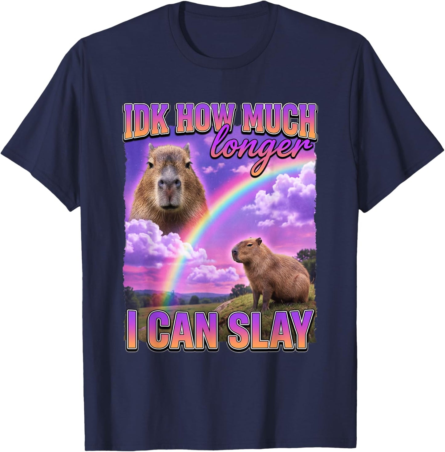 Funny Capybara Meme IDK How Much Longer I Can Slay T-Shirt - T-Shirt | Navy