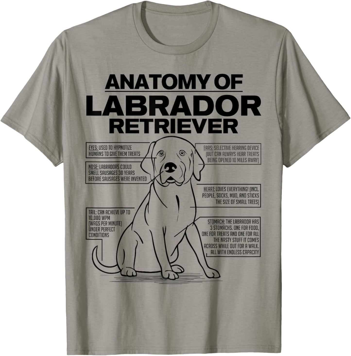 Anatomy of a Labrador Retriever Funny Dog owner gifts shirt T-Shirt - T-Shirt | Sand