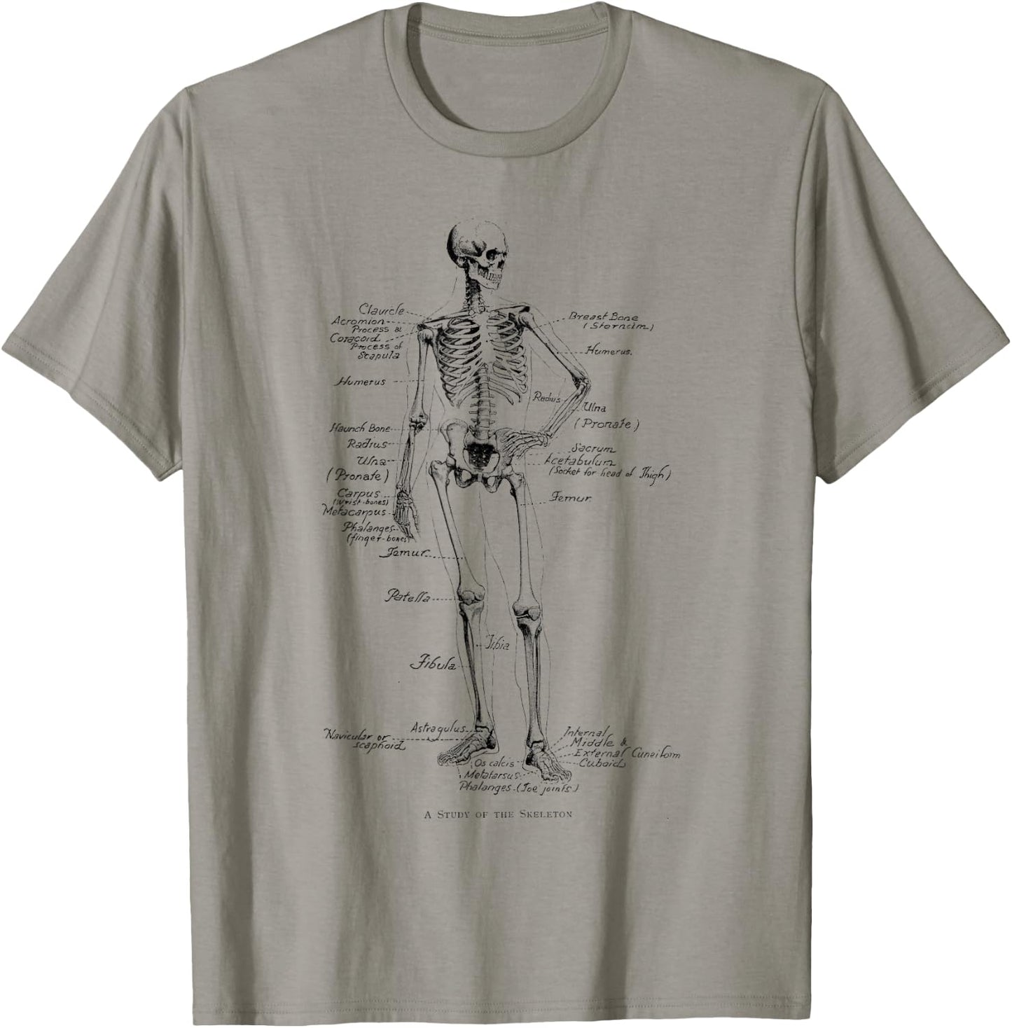 Human Skeleton Anatomical Skeleton bones T-Shirt - T-Shirt | Sand