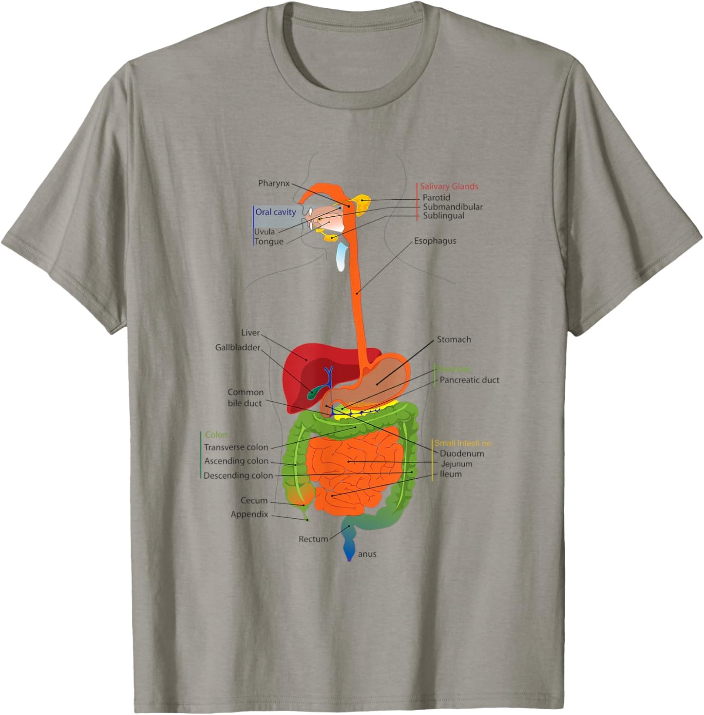 Human Body Digestive System Gastrointestinal Tract Anatomy T-Shirt - T-Shirt | Sand