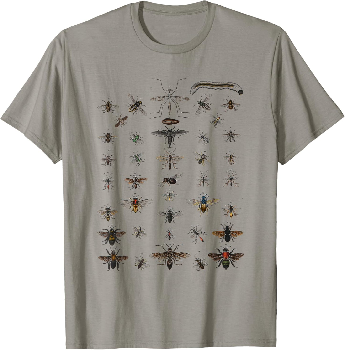 Insects Collection Species Bugs vintage Chart Entomology T-Shirt - T-Shirt | Sand