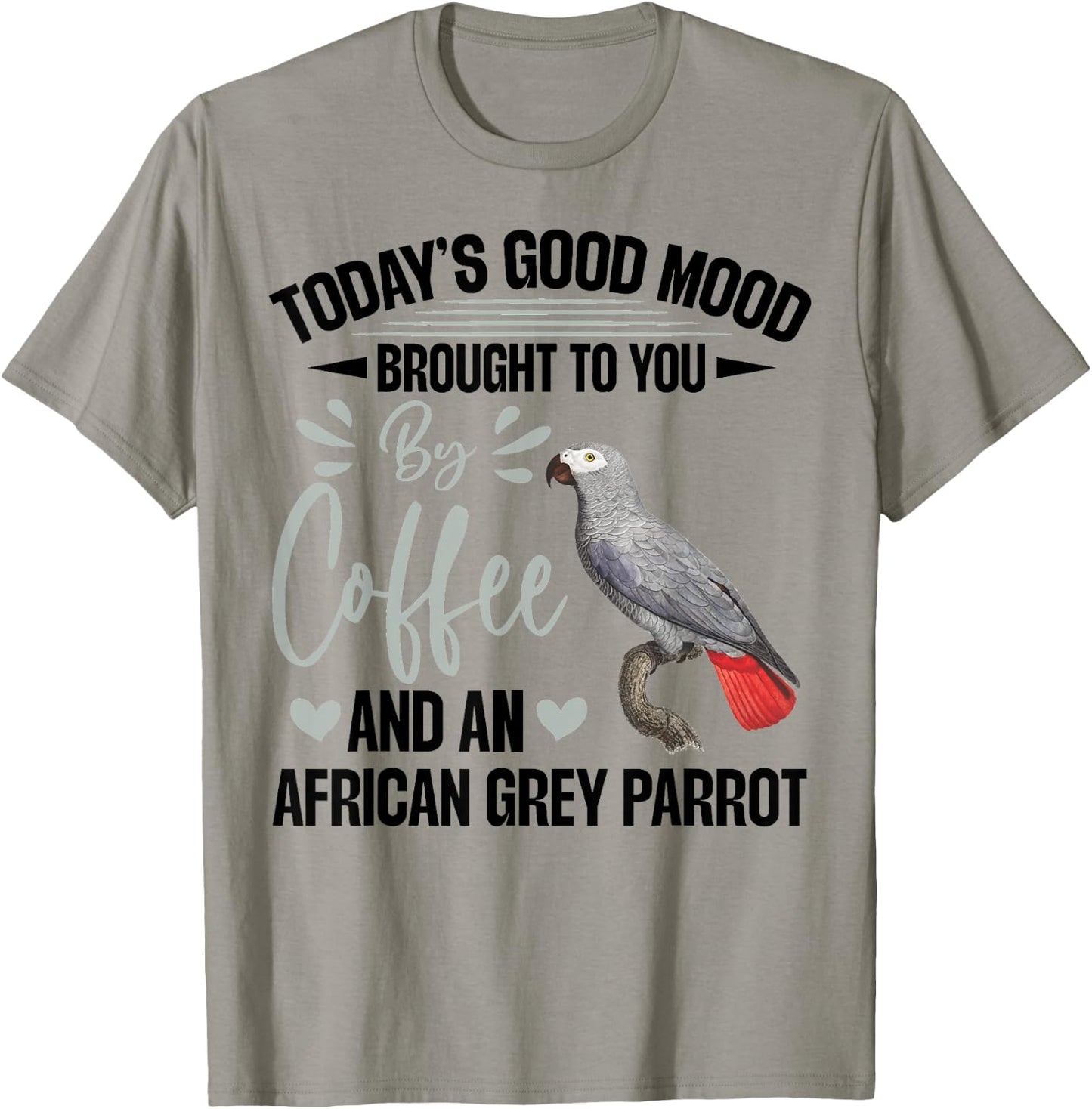 African Grey Parrot Toys African Grey Parrot Owner Parrot T-Shirt - T-Shirt | Sand