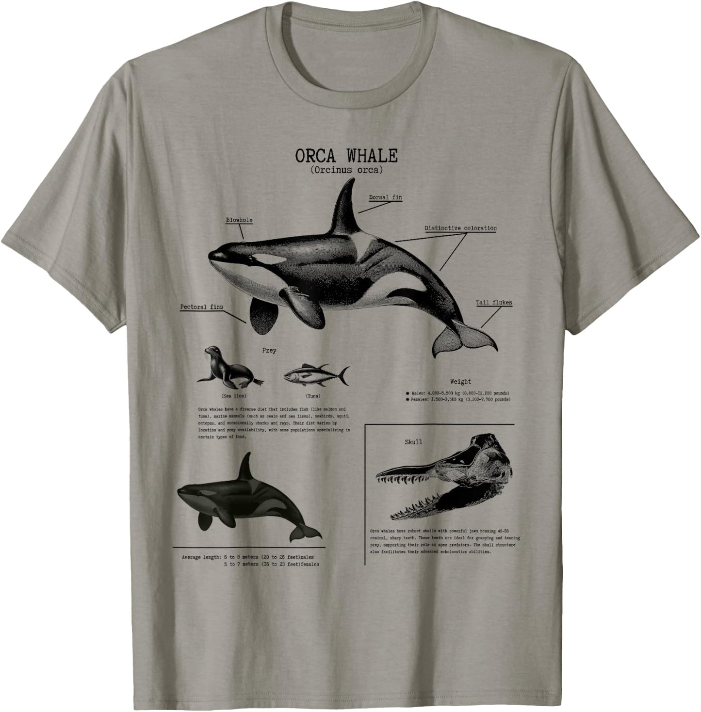 Orca Whale Anatomy Wall Lover Marine Biologist , White T-Shirt - T-Shirt | Sand