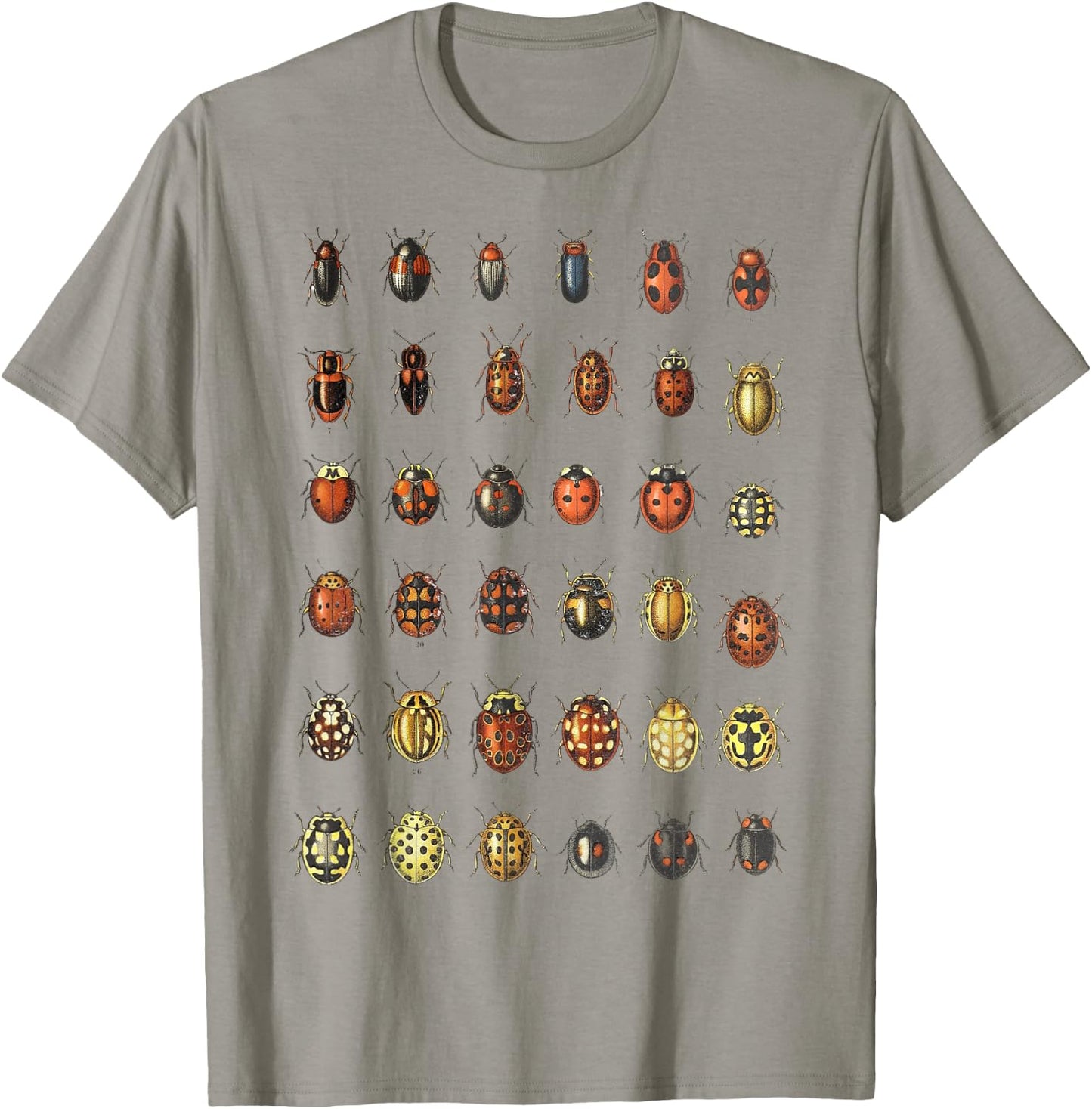 Insects Ladybugs Species Bug Vintage Entomology Entomologist T-Shirt - T-Shirt | Sand