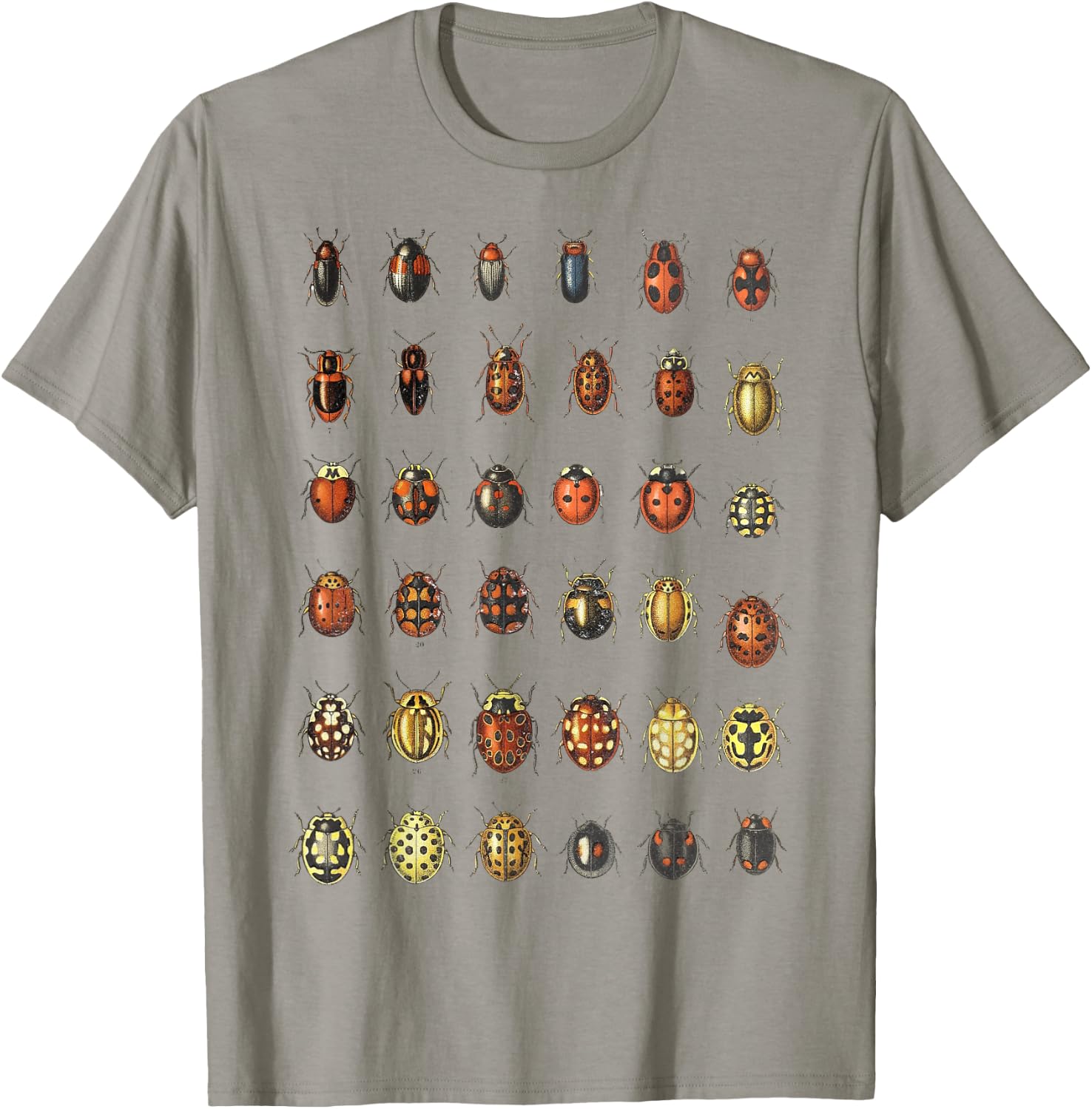 Insects Ladybugs Species Bug Vintage Entomology Entomologist T-Shirt - T-Shirt | Sand