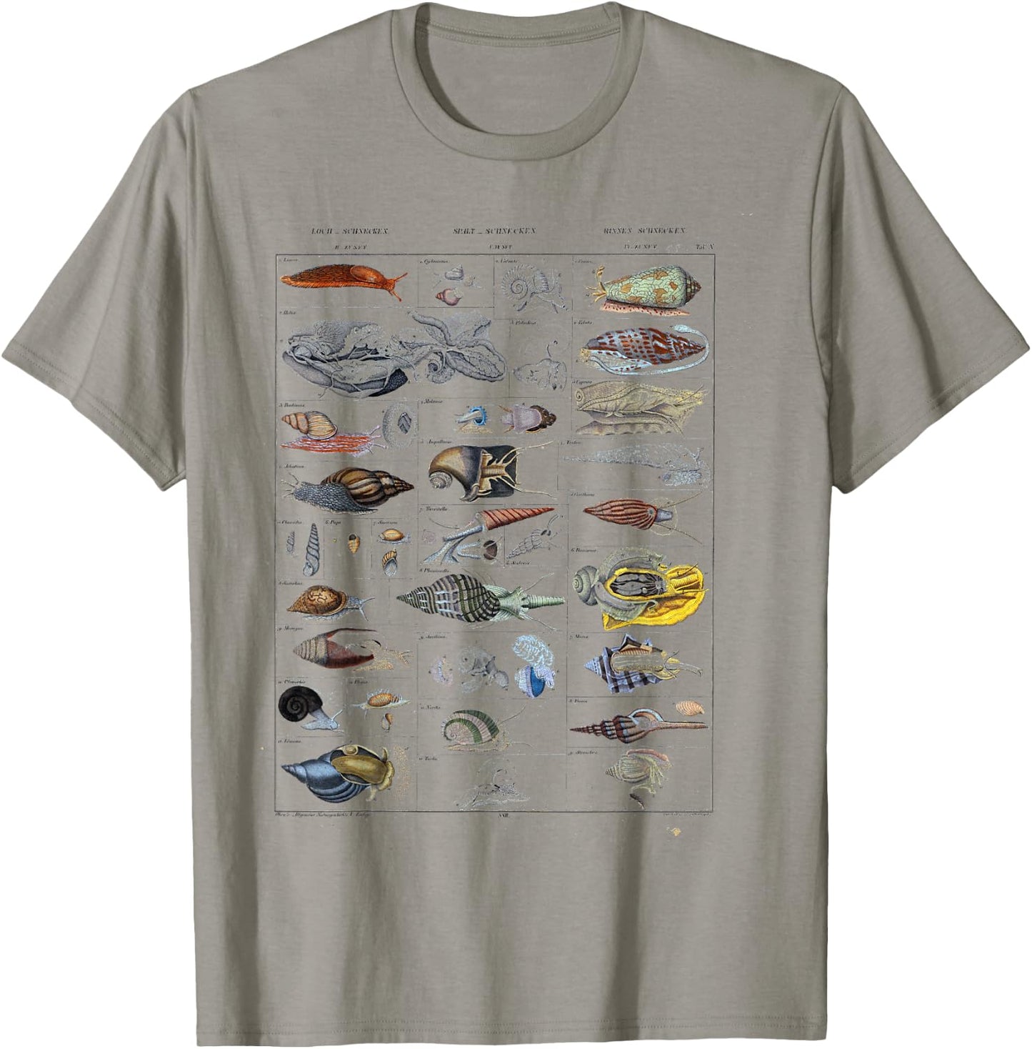 Oceanography Ocean Zoology biologists sailing Mollusk T-Shirt - T-Shirt | Sand