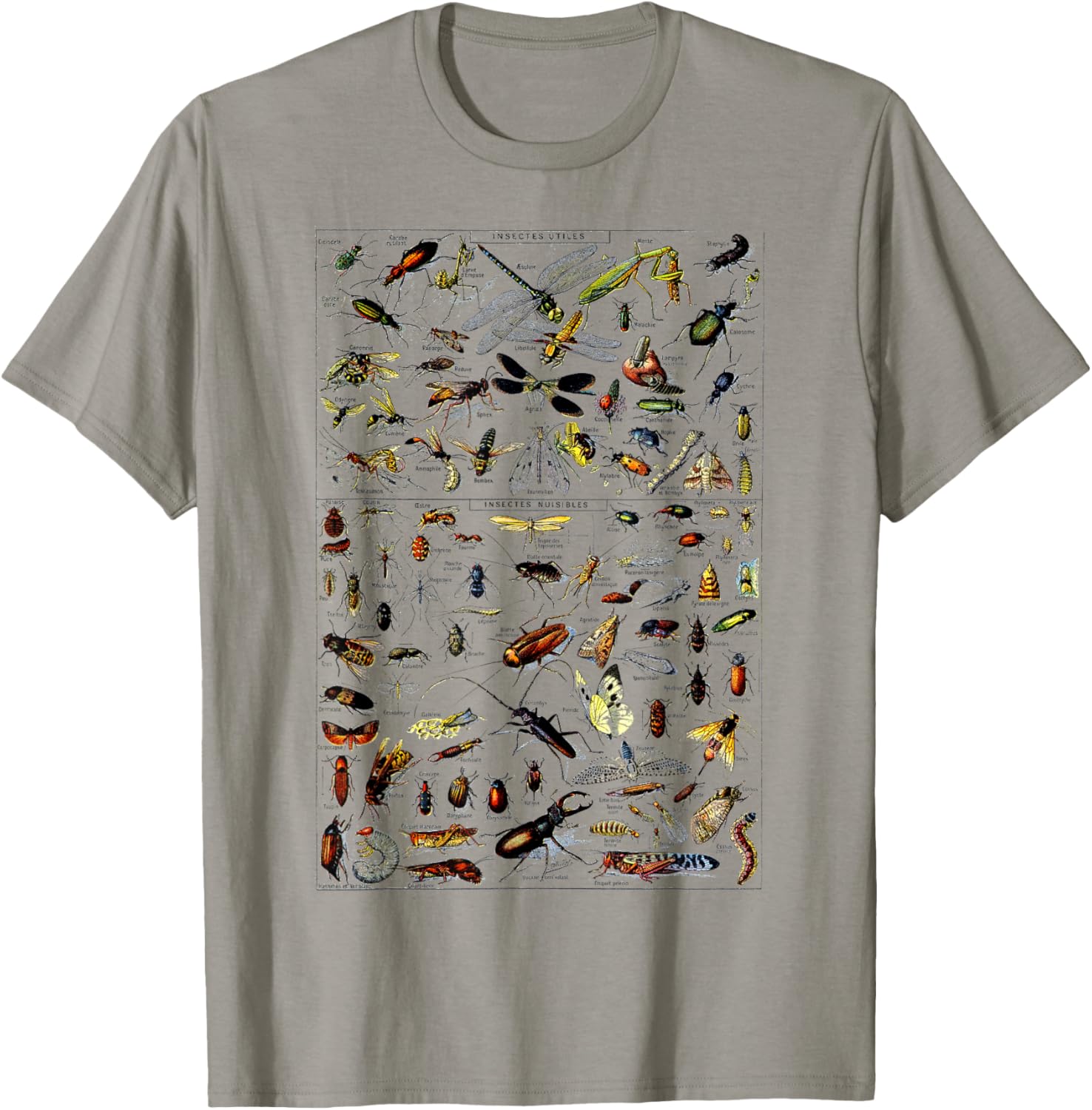 Insects Collection Species Bugs Vintage Chart Entomologie T-Shirt - T-Shirt | Sand